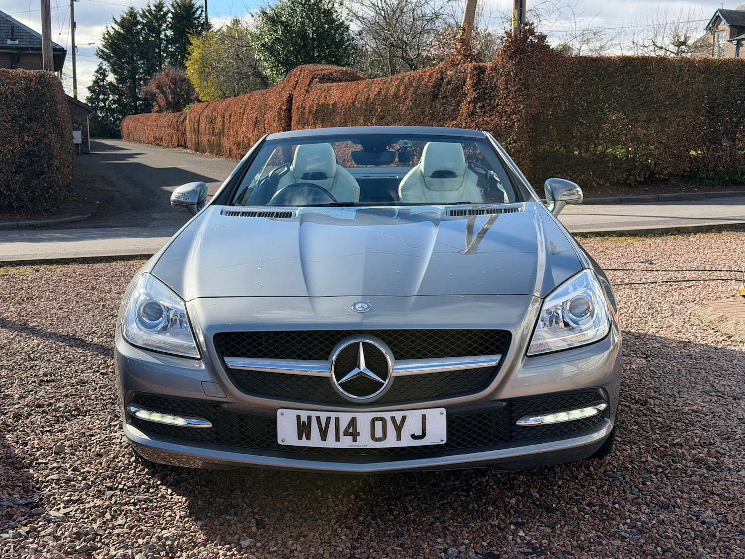 Used Mercedes-Benz SLK 2014 for sale - 78092296: Photo 8