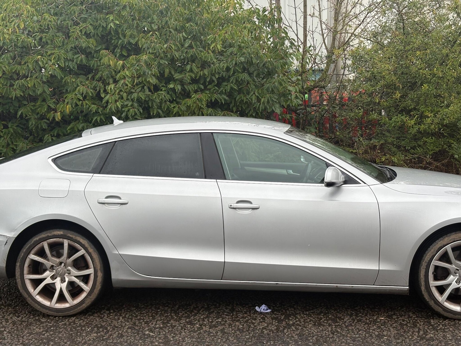 Used Audi A5 for sale - 77215354: Photo 3