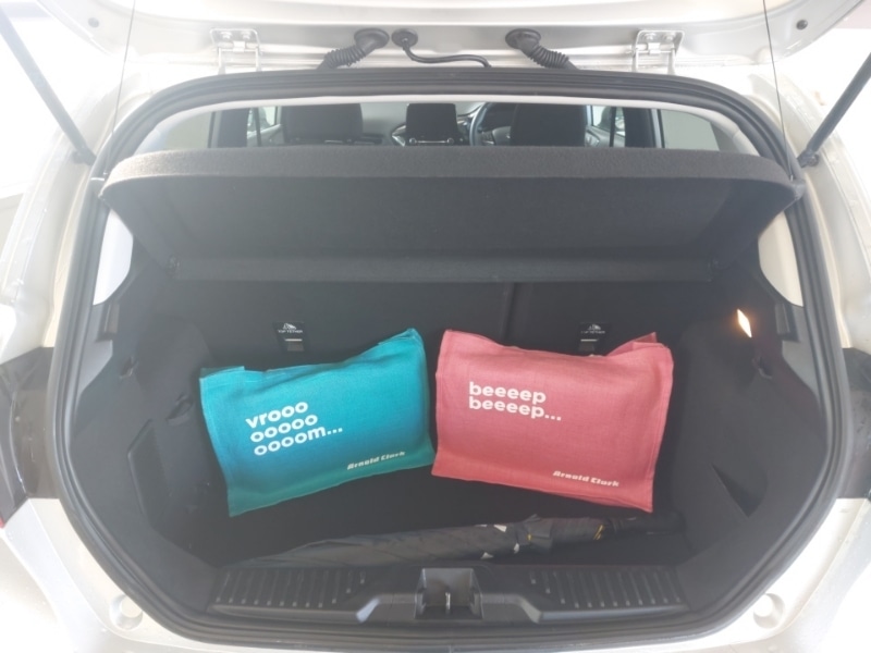 Used Ford Fiesta 2019 for sale - 77896895: Photo 8