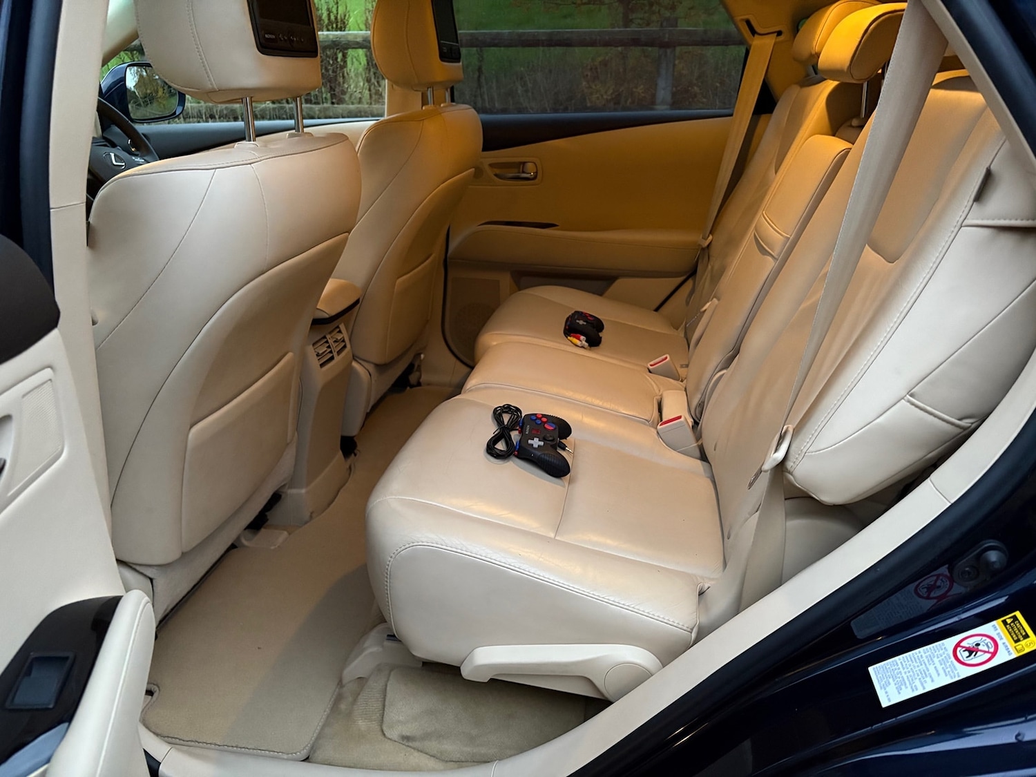 Used Lexus RX 2010 for sale - 76497697: Photo 18