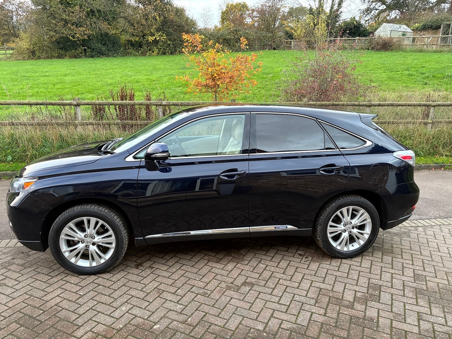 Used Lexus RX 2010 for sale - 76497697: Photo 5