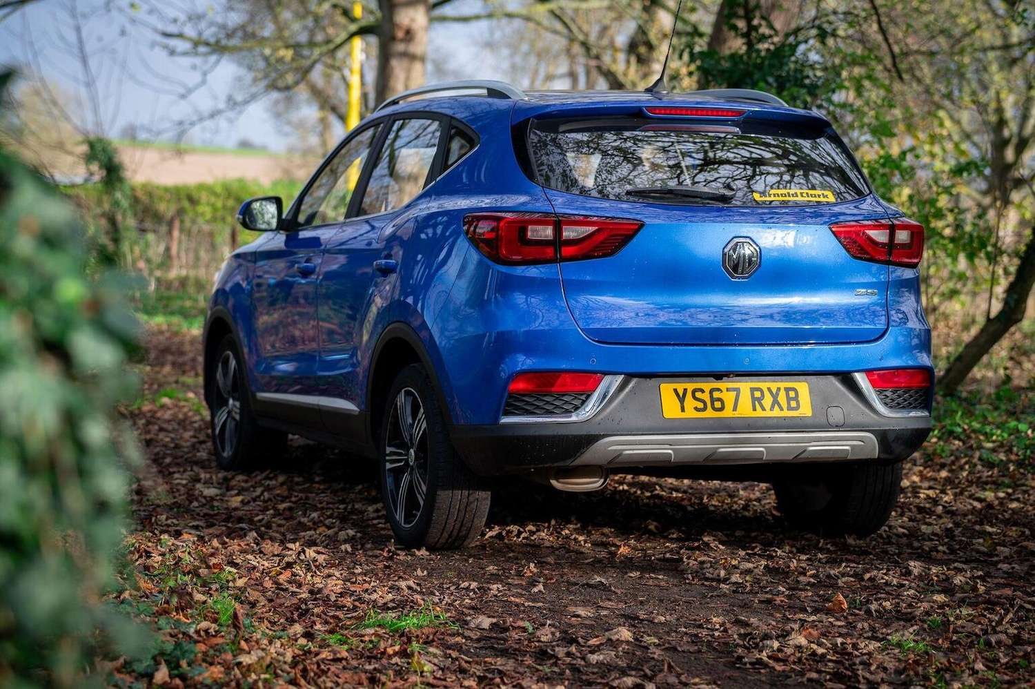 Used MG MG ZS 2017 for sale - 77027880: Photo 14