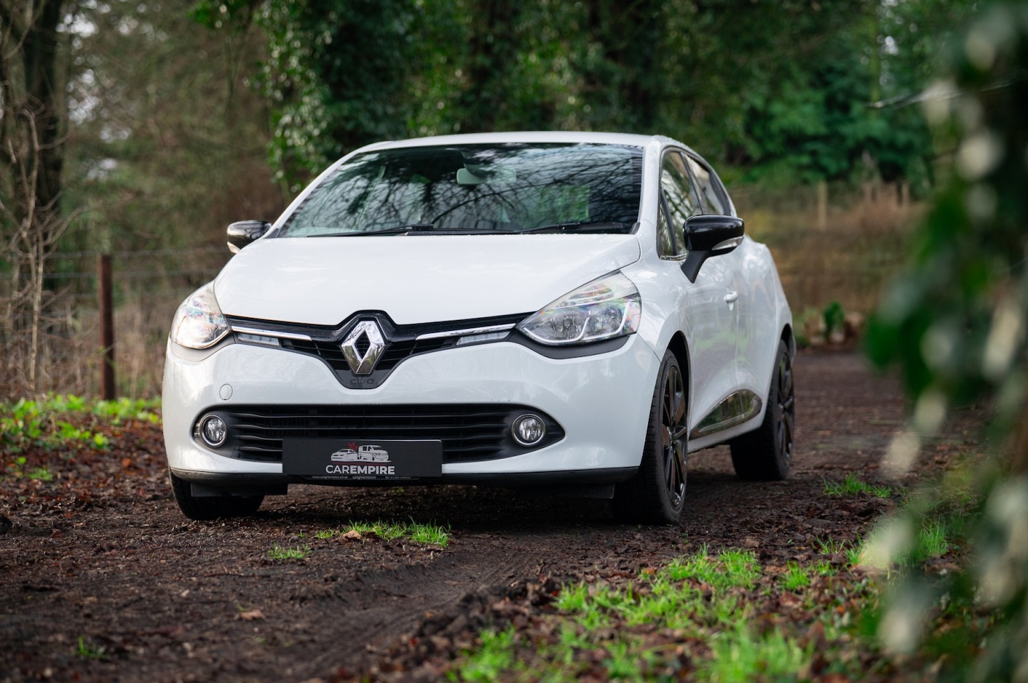 Used Renault Clio 2015 for sale - 77189218: Photo 13