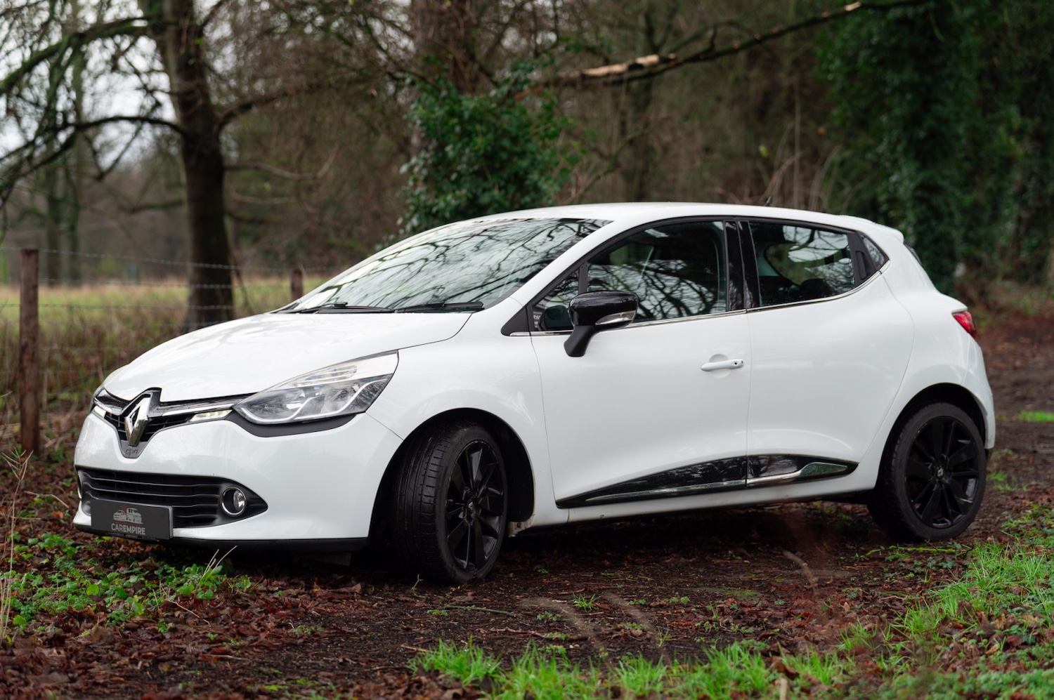 Used Renault Clio 2015 for sale - 77189218: Photo 15