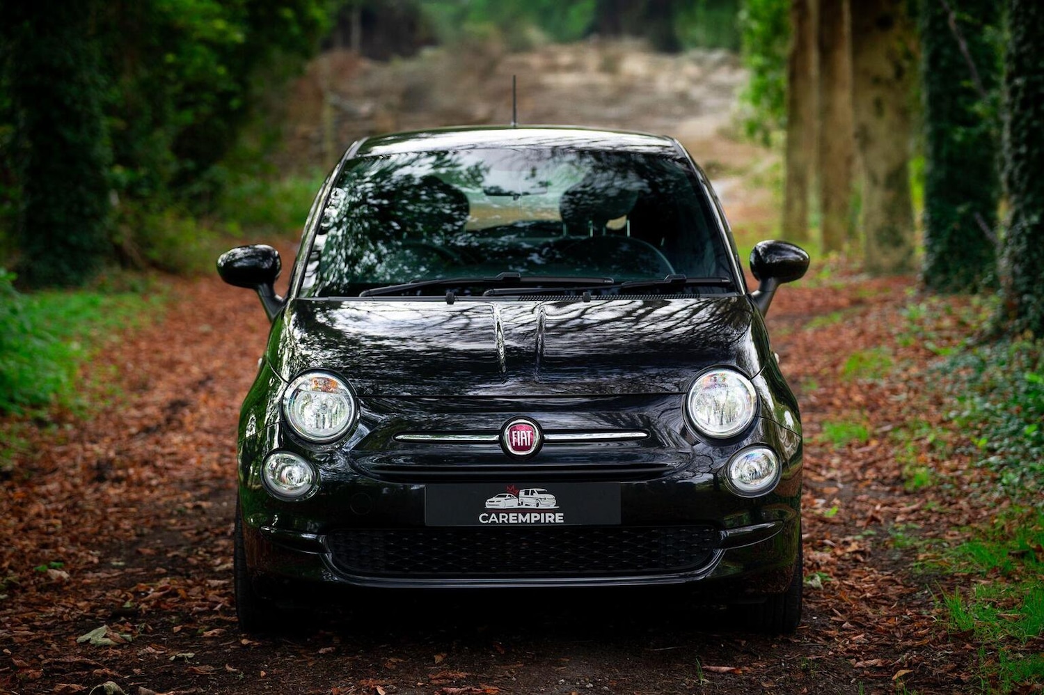 Used Fiat 500 2021 for sale - 77027968: Photo 2