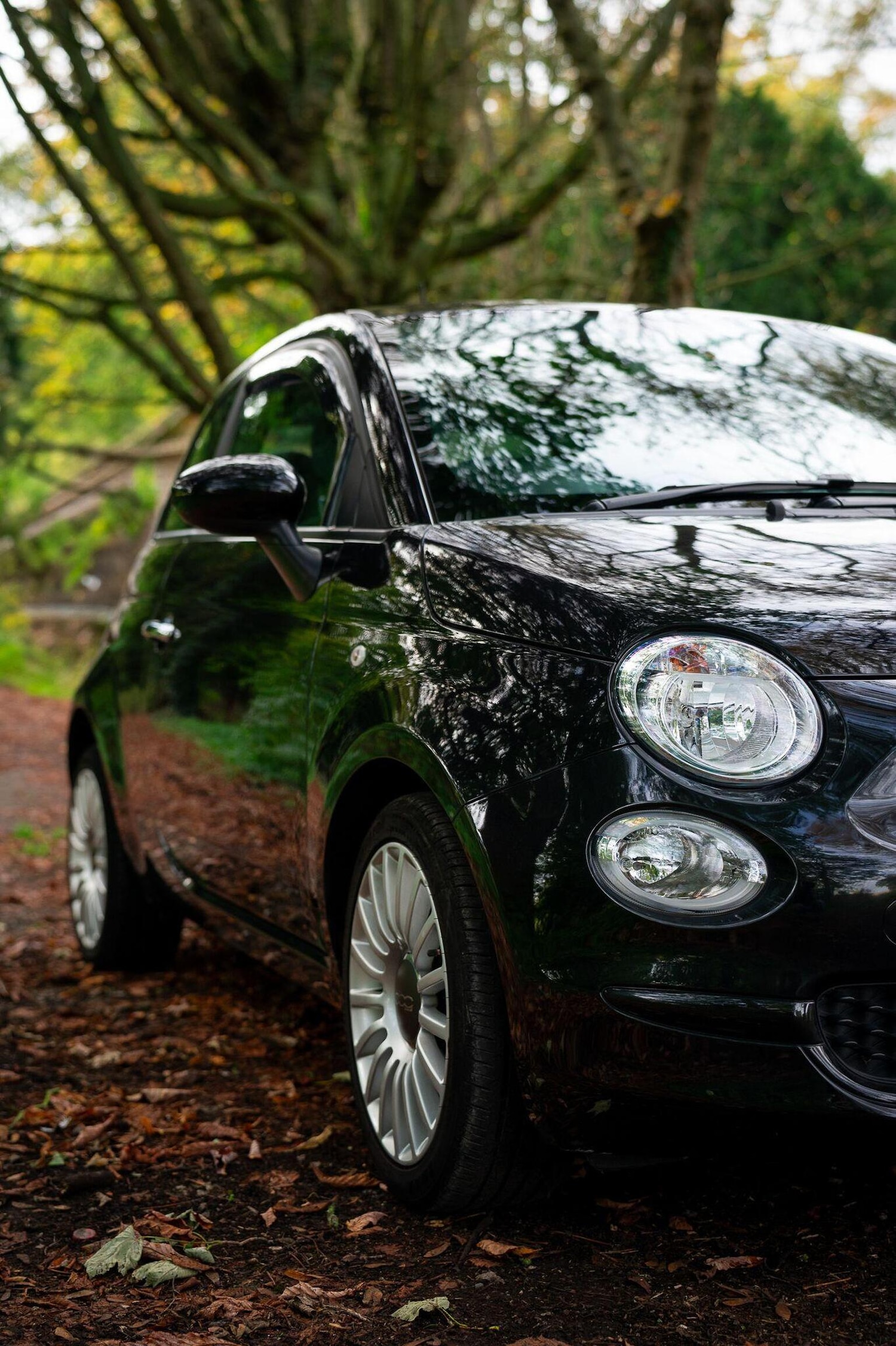 Used Fiat 500 2021 for sale - 77027968: Photo 6