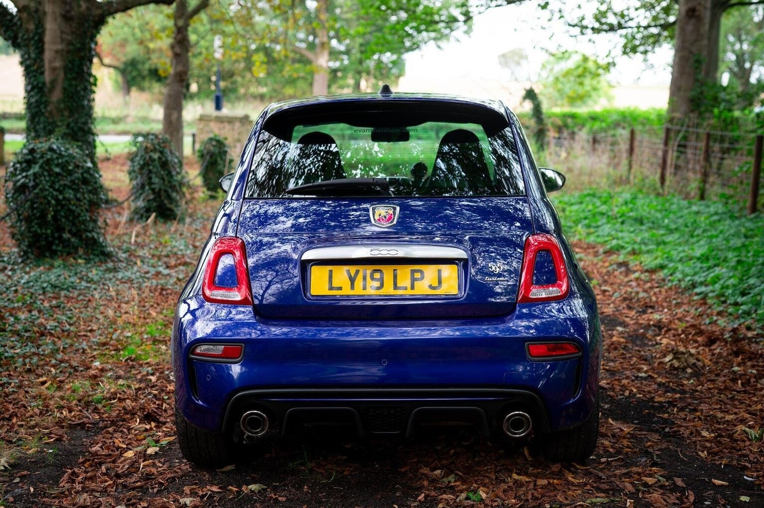 Used Abarth 595 2019 for sale - 77027886: Photo 12