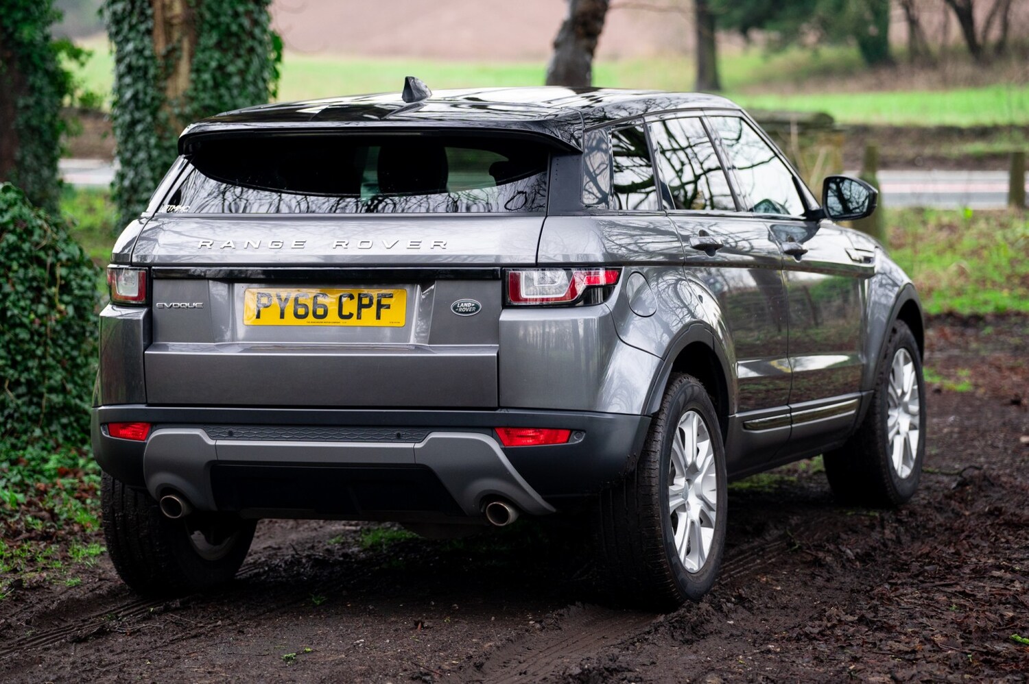 Used Land Rover Range Rover Evoque 2016 for sale - 77522061: Photo 9