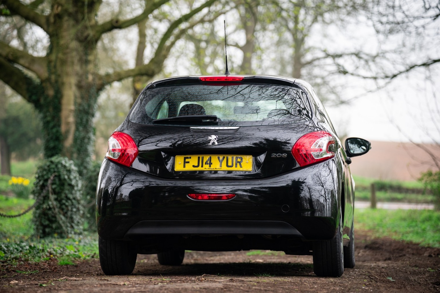 Used Peugeot 208 2014 for sale - 77968670: Photo 18