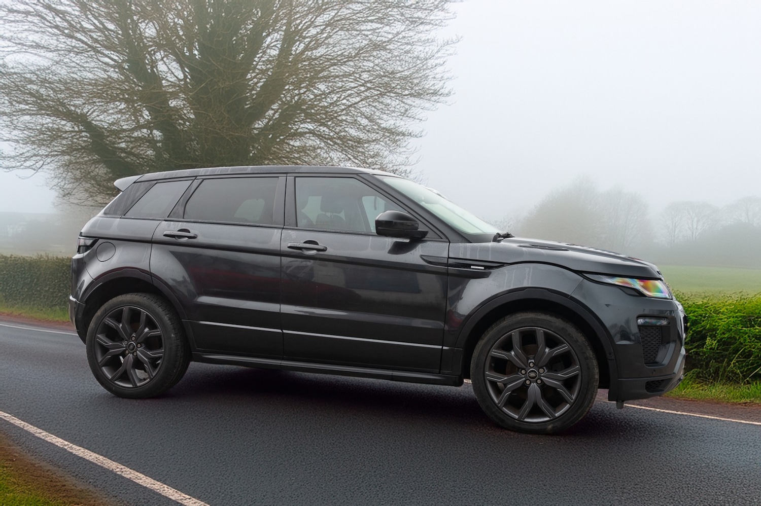 Used Land Rover Range Rover Evoque 2017 for sale - 78004499: Photo 7