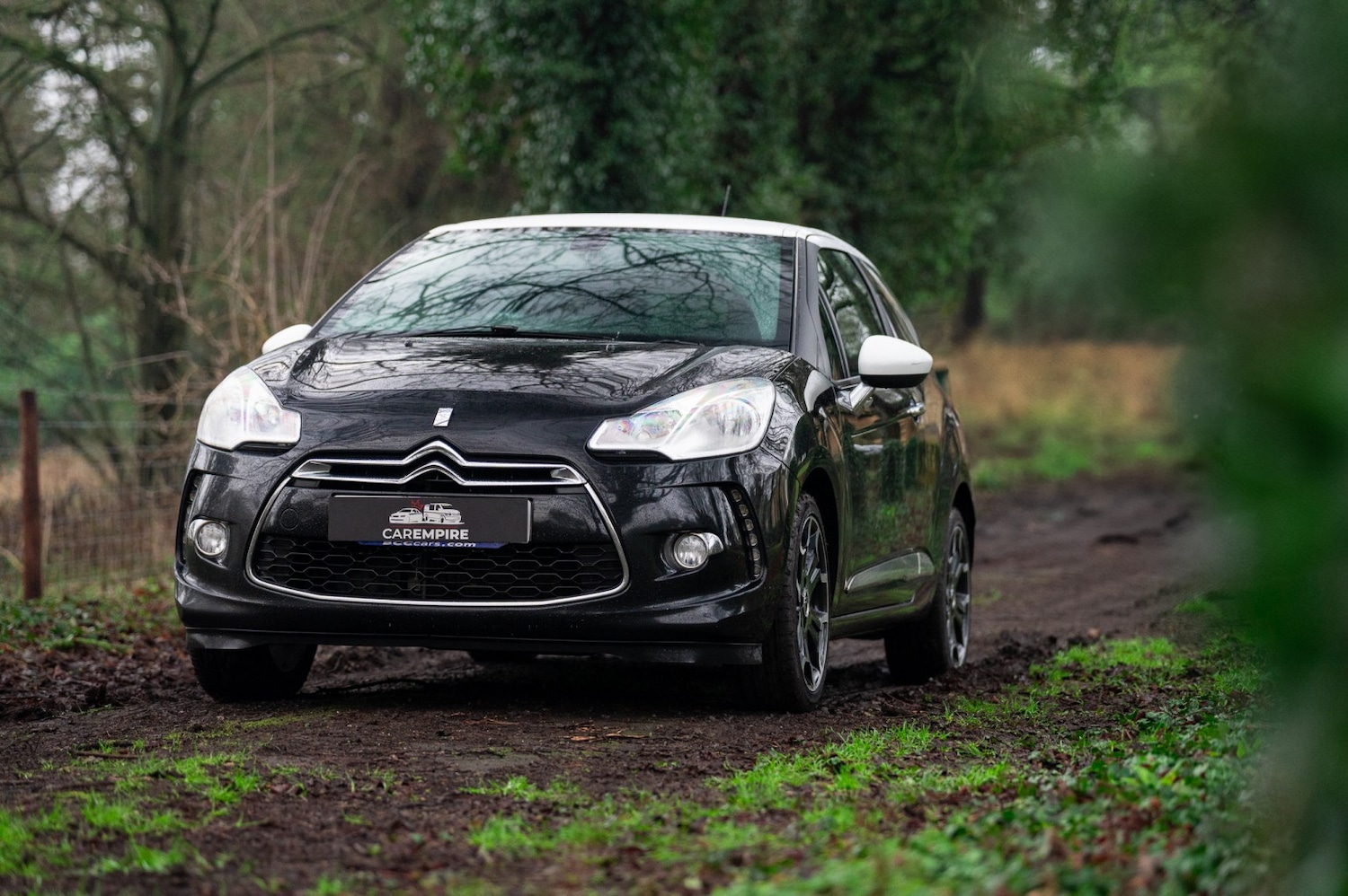 Used Citroen DS3 2013 for sale - 77536000: Photo 11