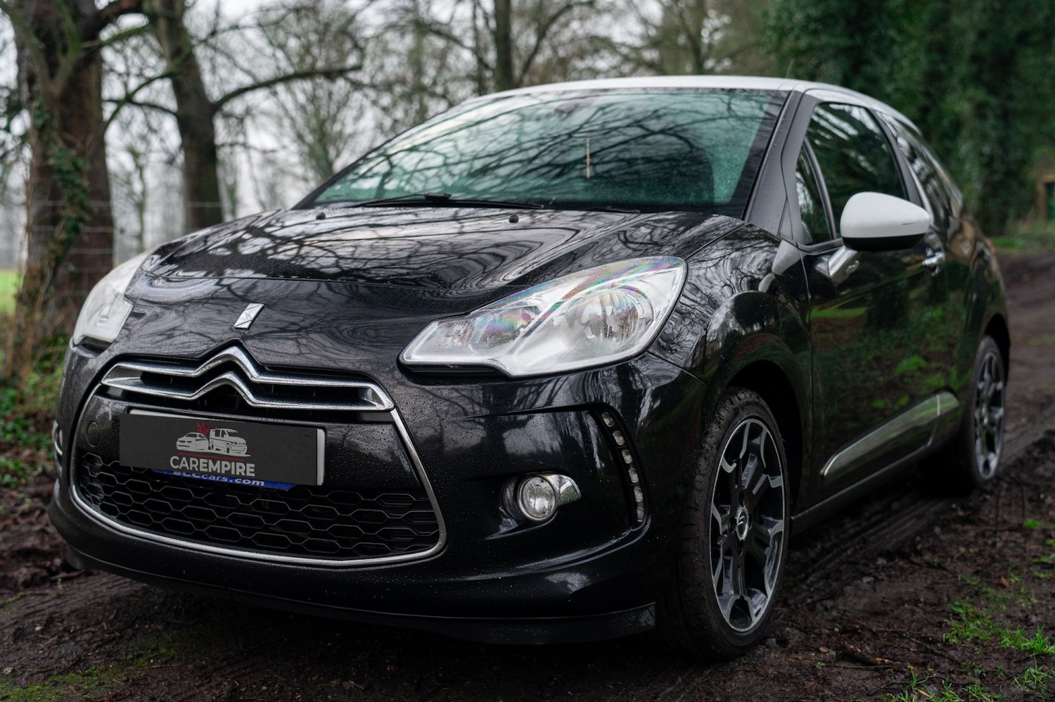 Used Citroen DS3 2013 for sale - 77536000: Photo 13