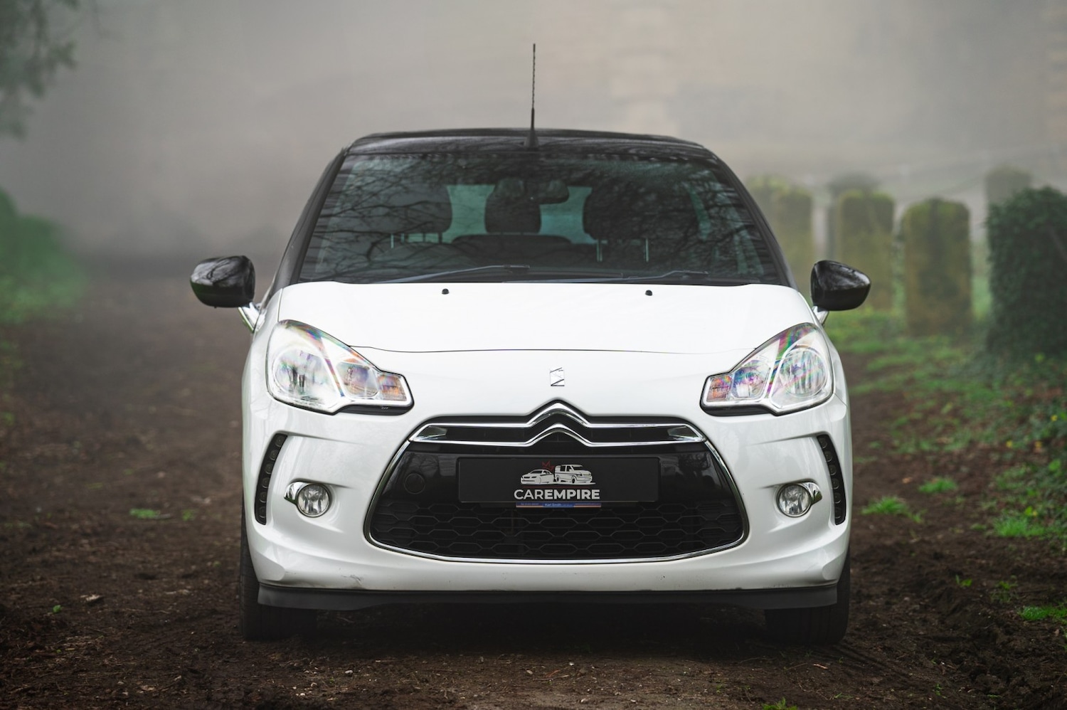 Used Citroen DS3 2013 for sale - 77977165: Photo 5