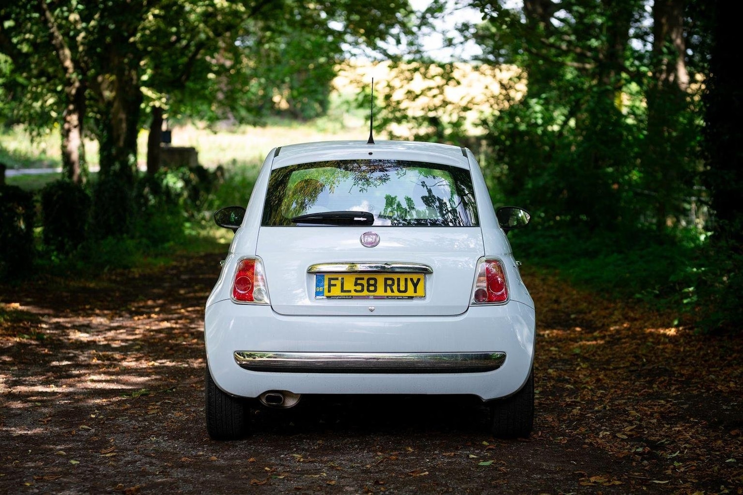 Used Fiat 500 2008 for sale - 77027913: Photo 12