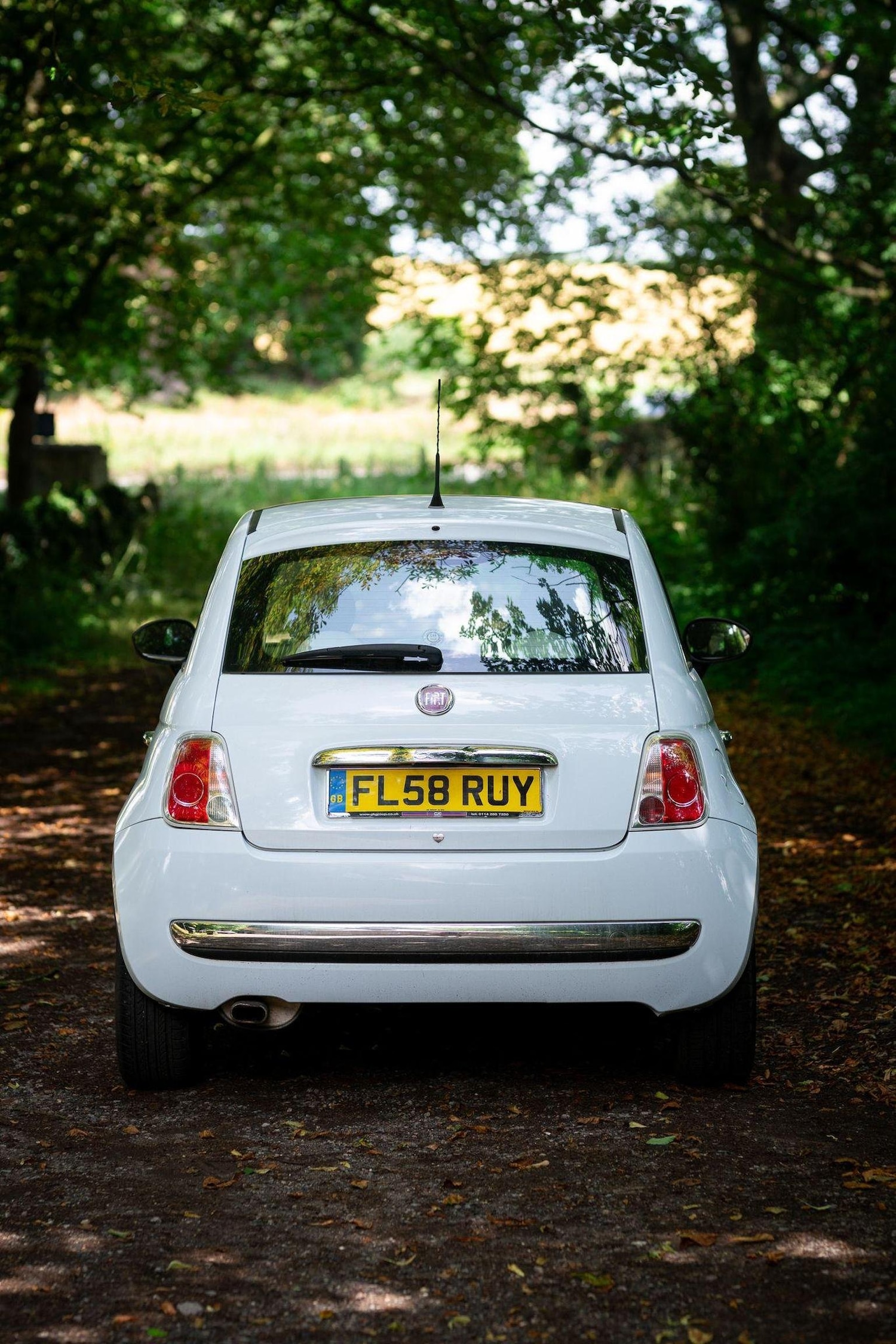 Used Fiat 500 2008 for sale - 77027913: Photo 13