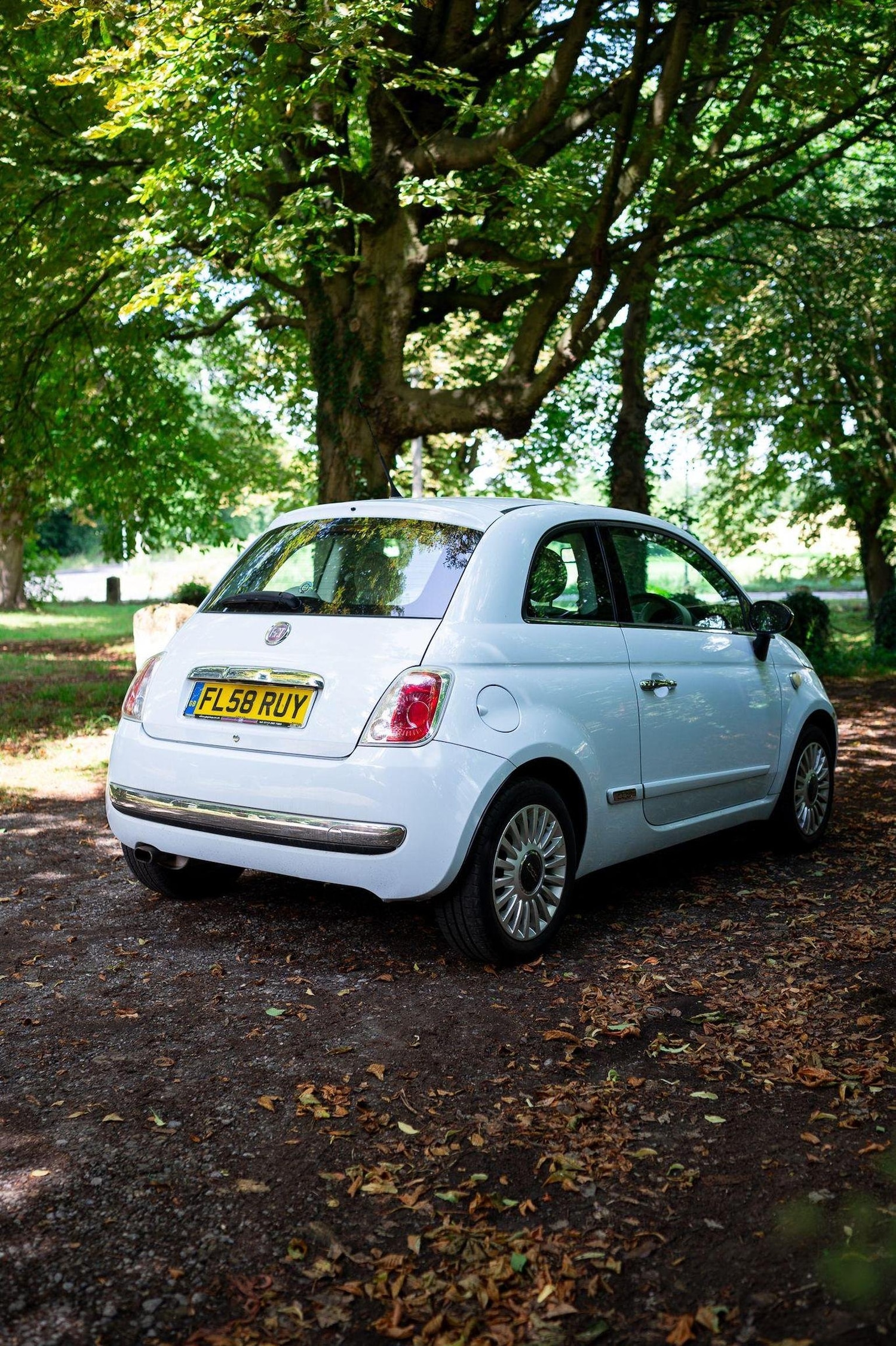 Used Fiat 500 2008 for sale - 77027913: Photo 16