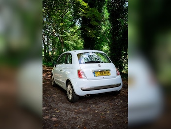 Used Fiat 500 2008 for sale - 77027913: Photo