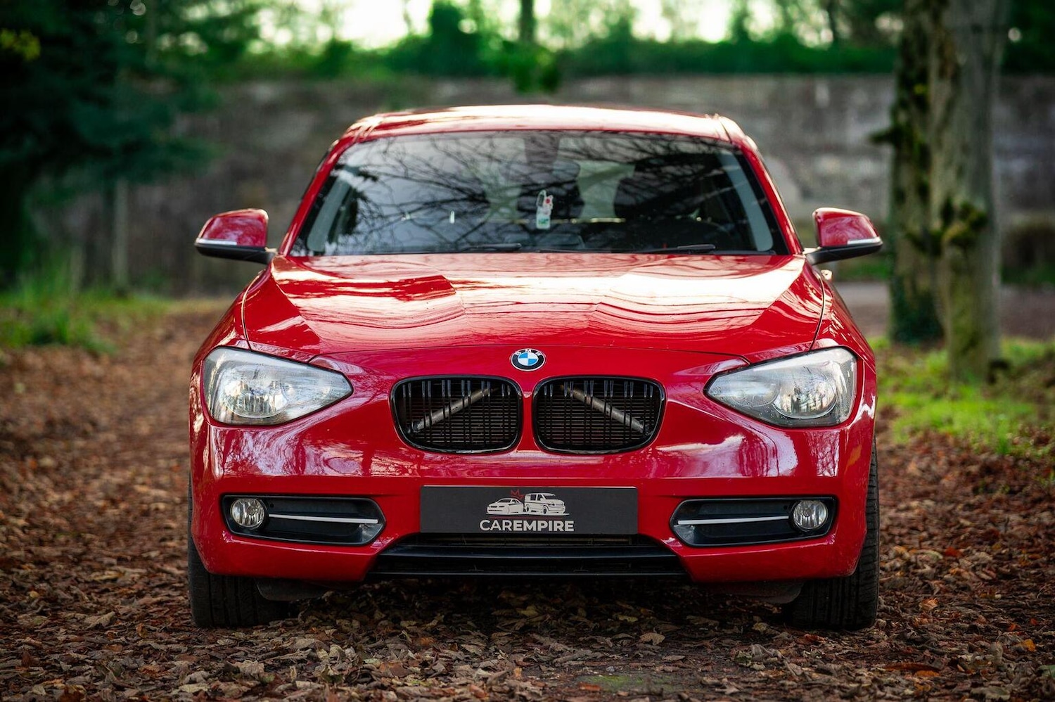 Used BMW 1 Series 2014 for sale - 77027881: Photo 2