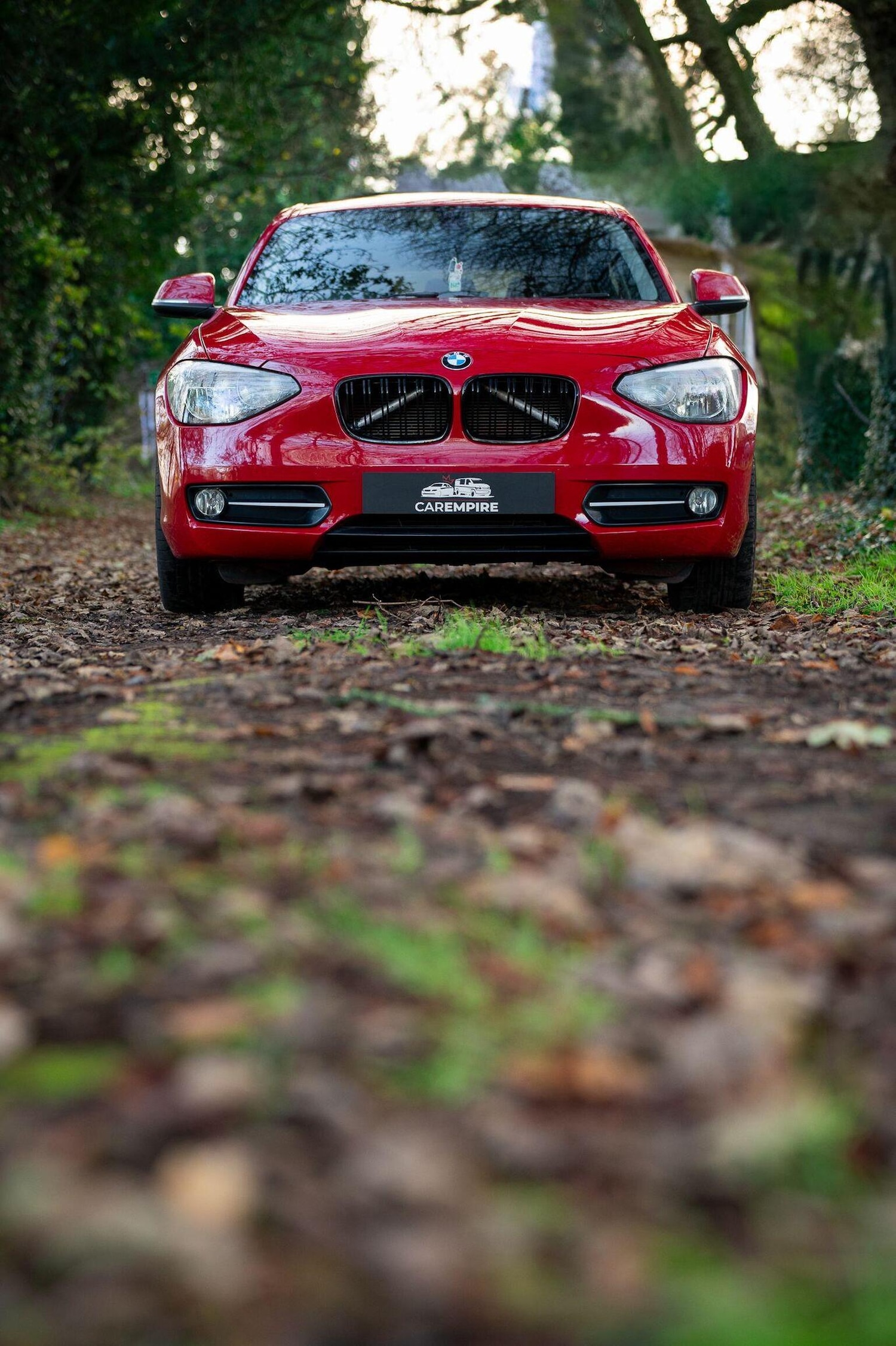 Used BMW 1 Series 2014 for sale - 77027881: Photo 36