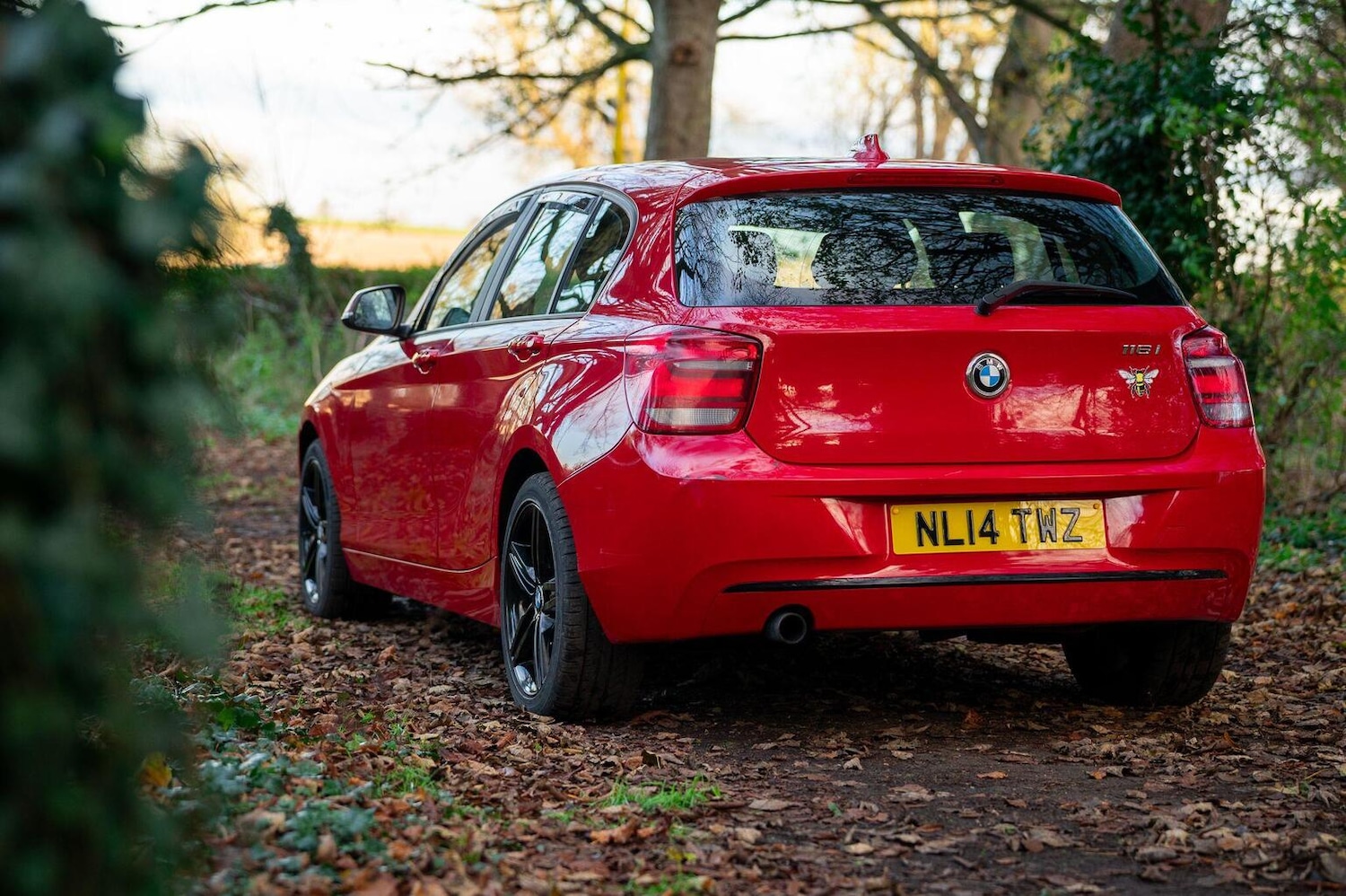 Used BMW 1 Series 2014 for sale - 77027881: Photo 4