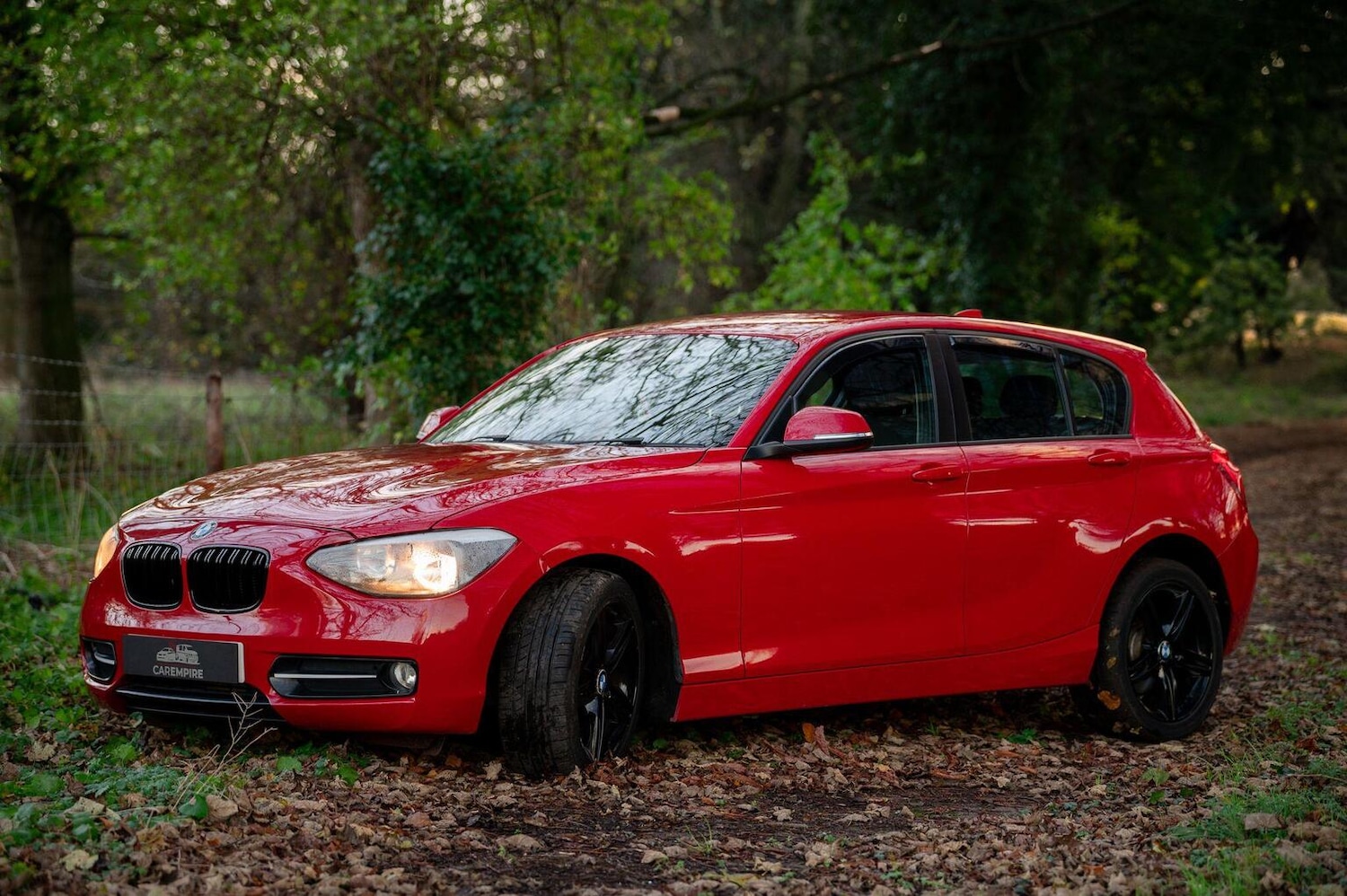 Used BMW 1 Series 2014 for sale - 77027881: Photo 6