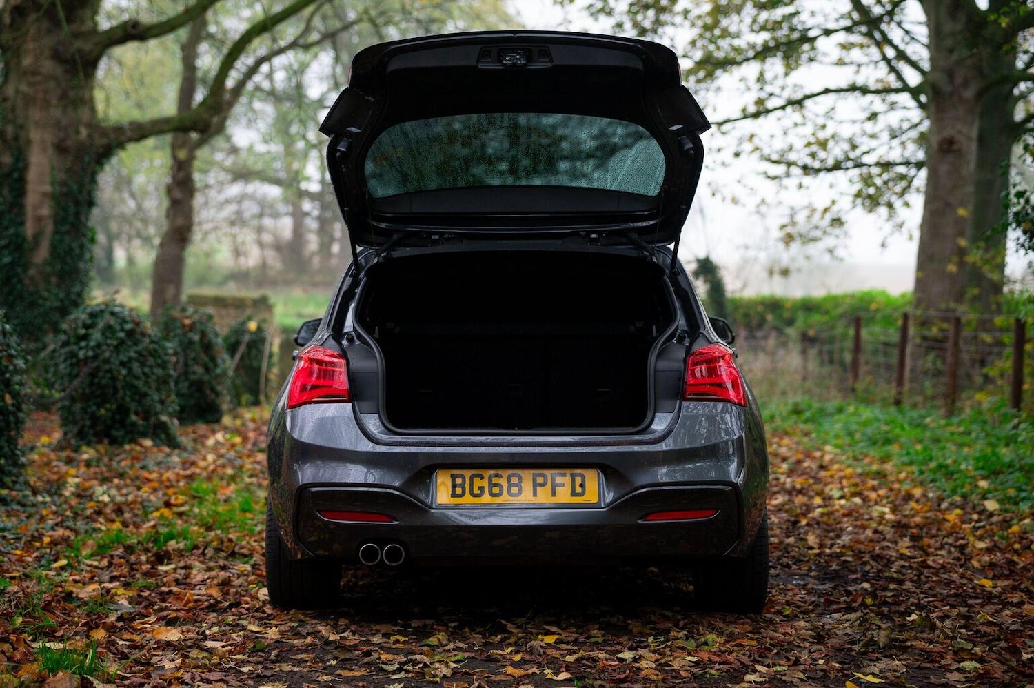 Used BMW 1 Series 2018 for sale - 77027906: Photo 13