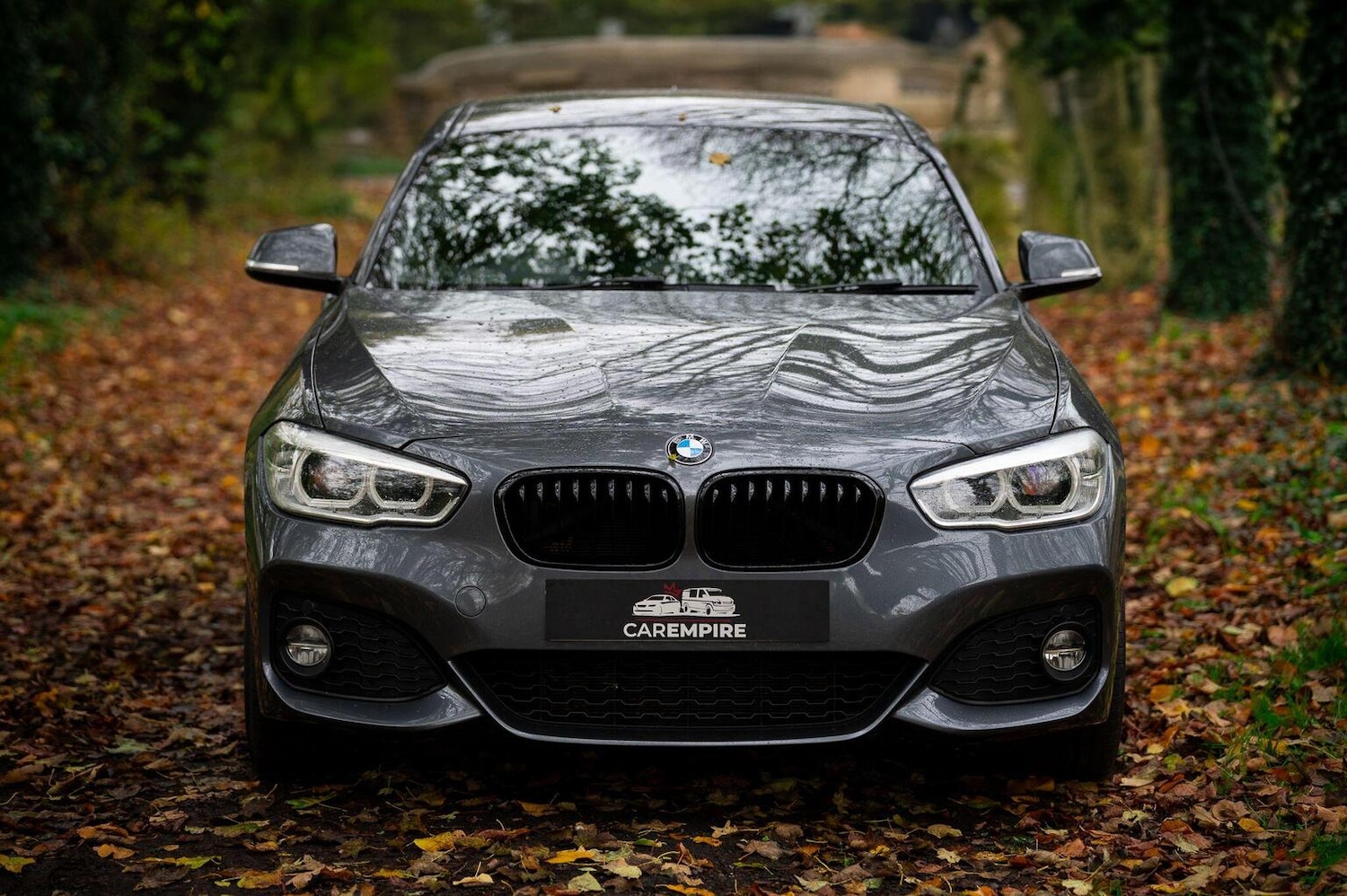 Used BMW 1 Series 2018 for sale - 77027906: Photo 2