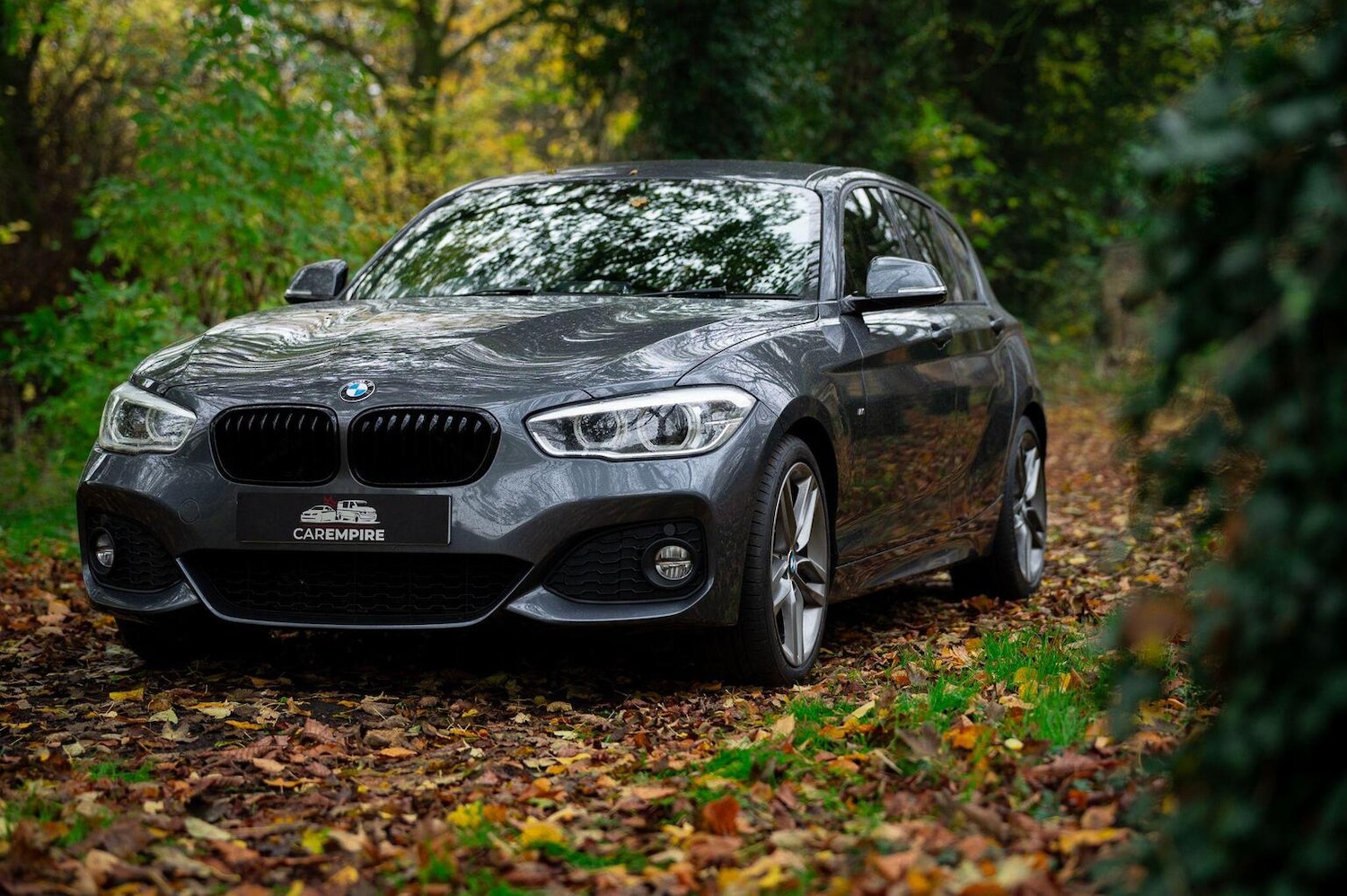 Used BMW 1 Series 2018 for sale - 77027906: Photo 3