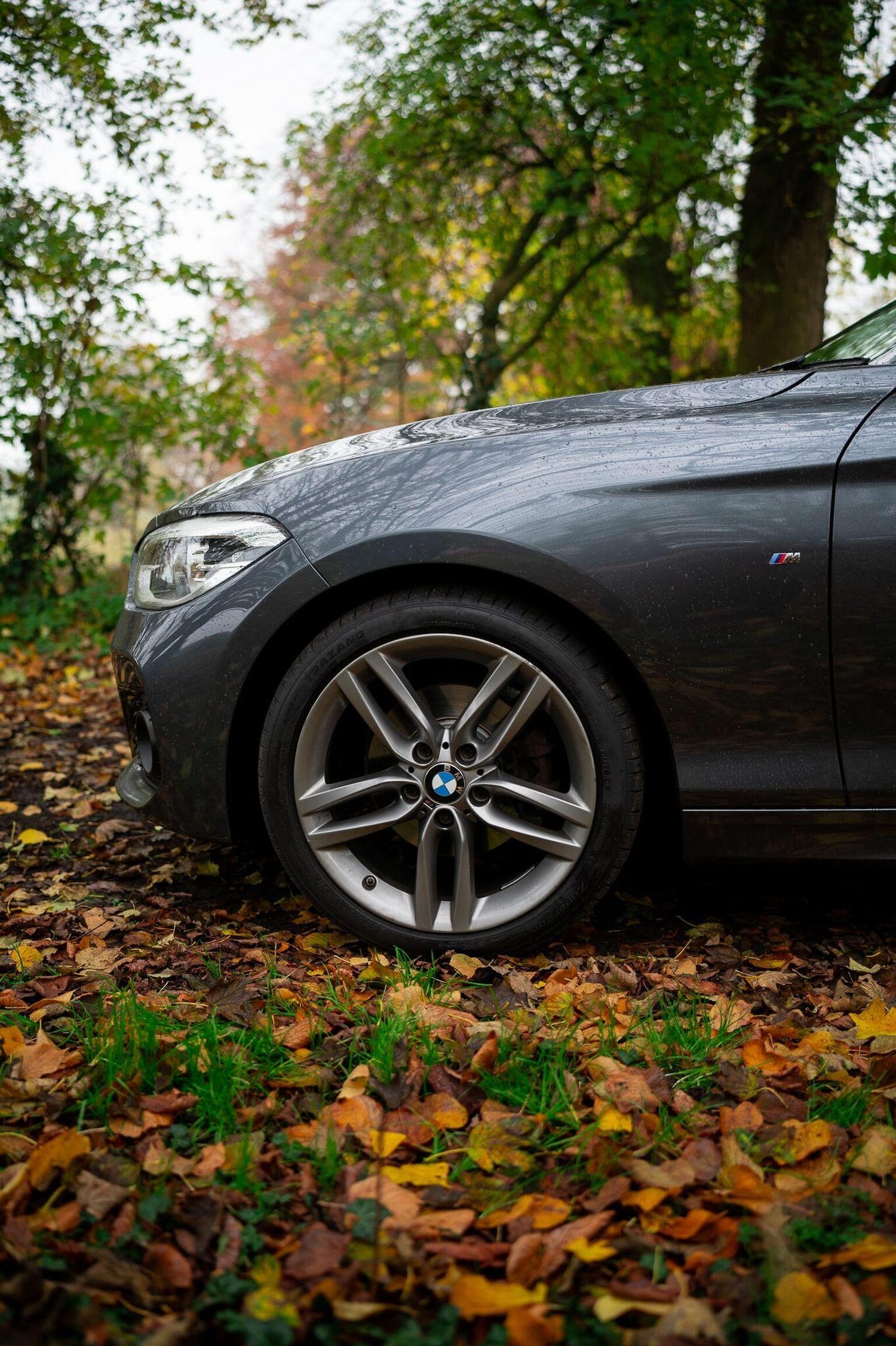 Used BMW 1 Series 2018 for sale - 77027906: Photo 35