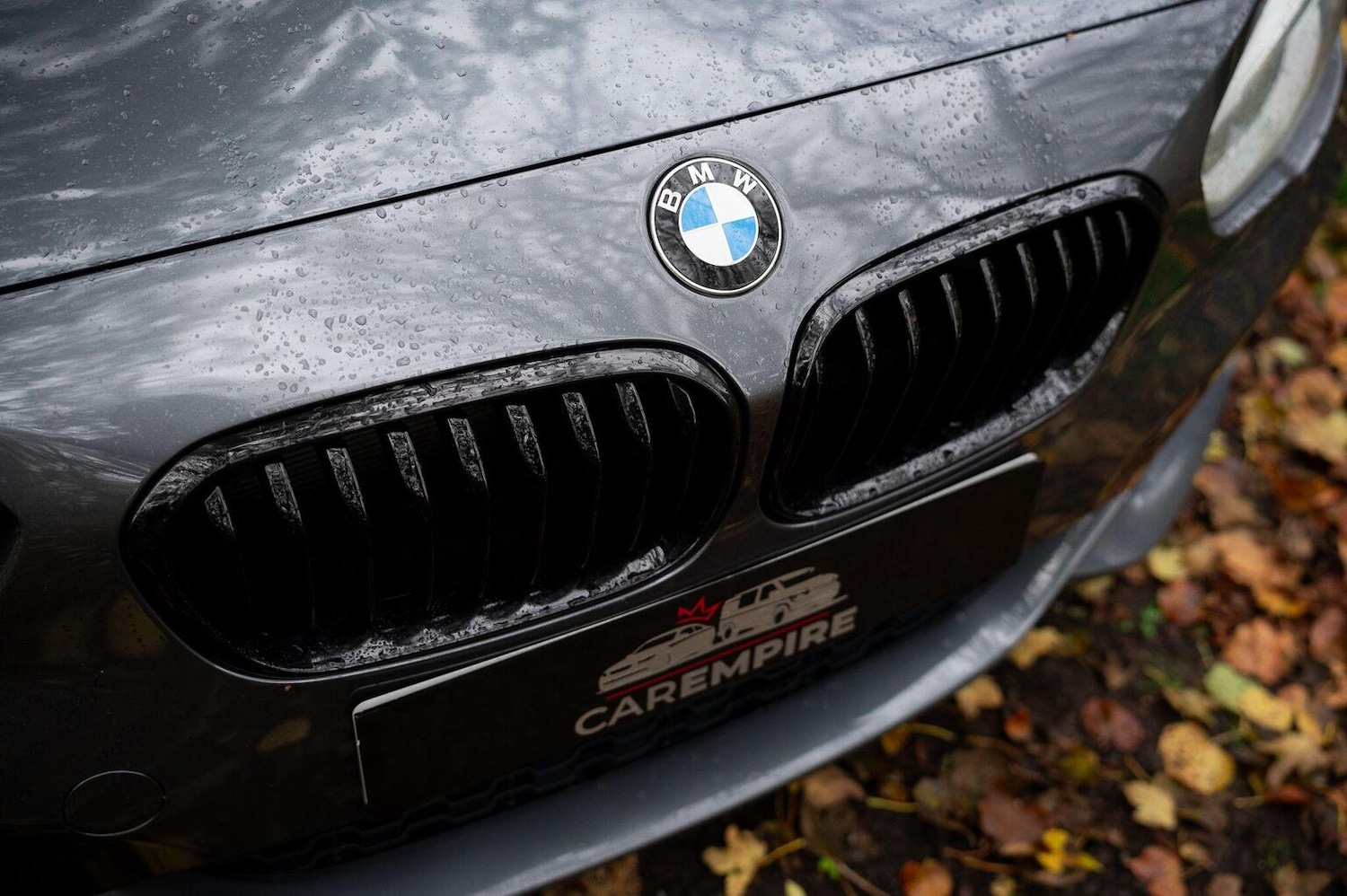 Used BMW 1 Series 2018 for sale - 77027906: Photo 55