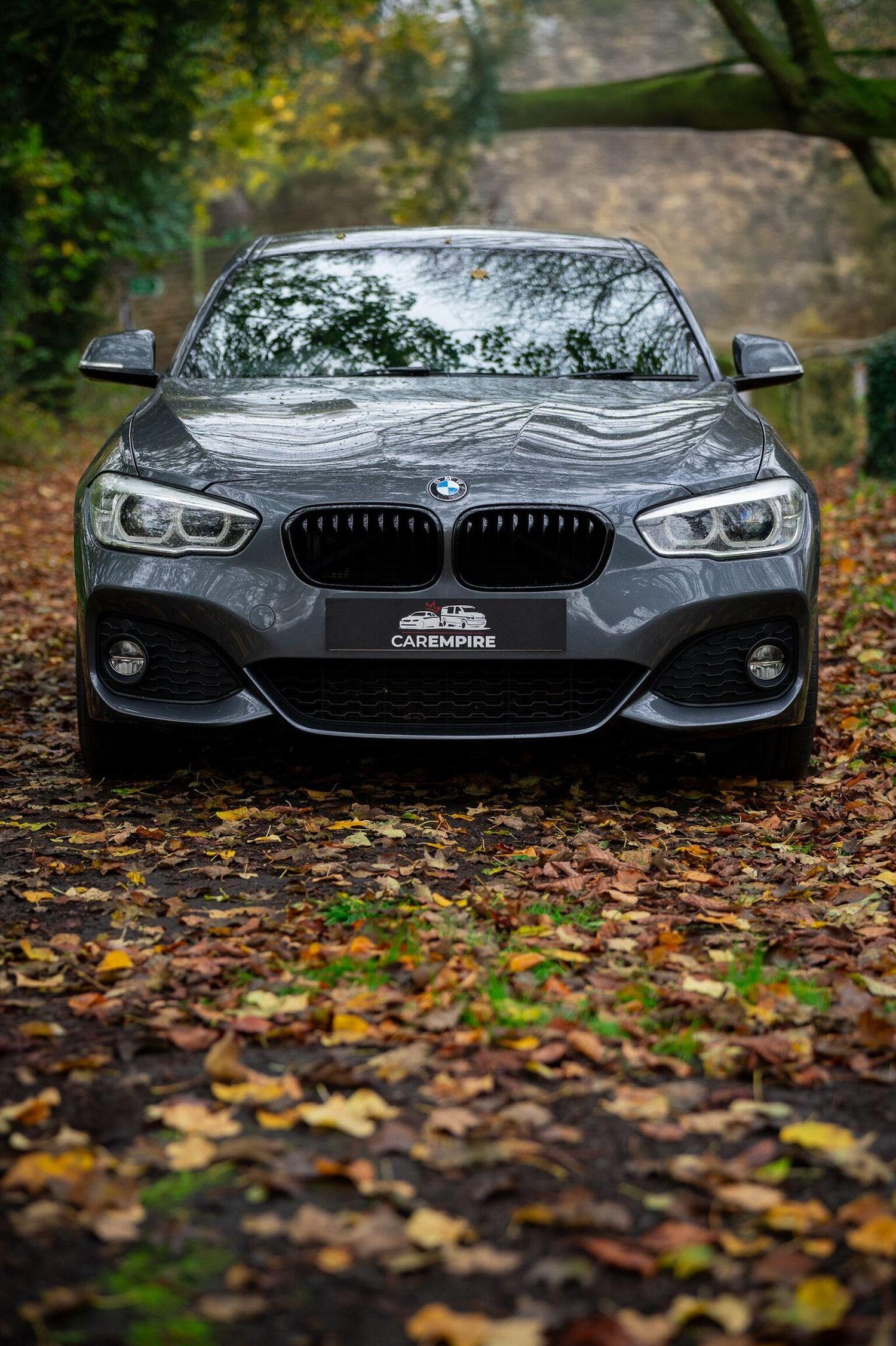 Used BMW 1 Series 2018 for sale - 77027906: Photo 6