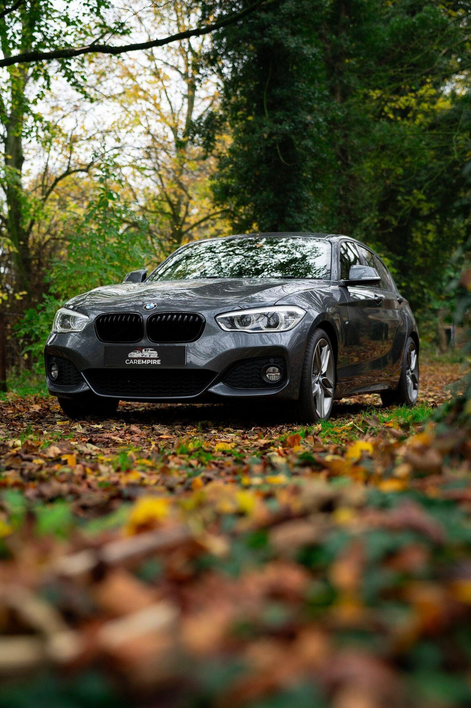 Used BMW 1 Series 2018 for sale - 77027906: Photo 7