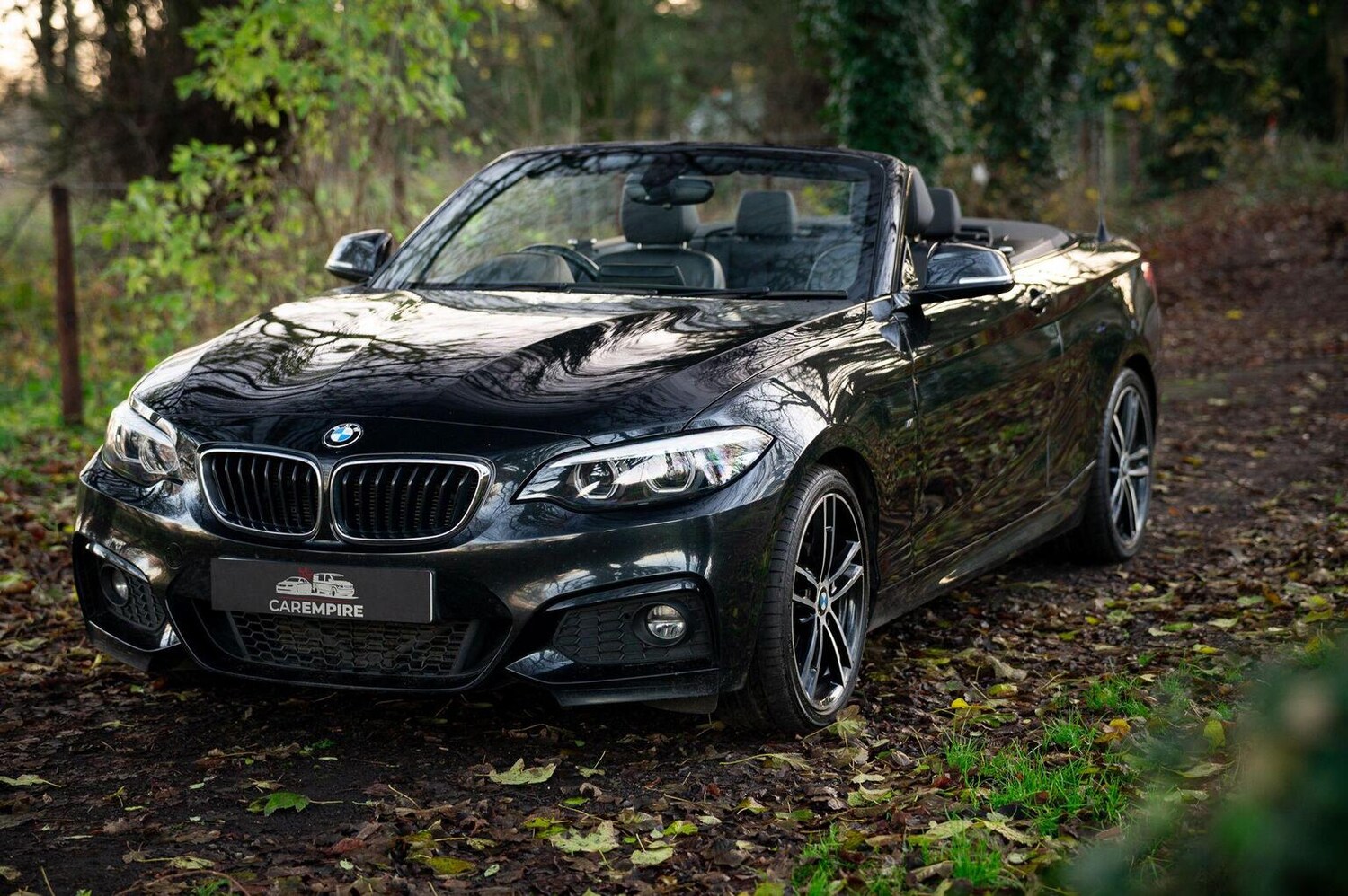 Used BMW 2 Series 2019 for sale - 77027871: Photo 10