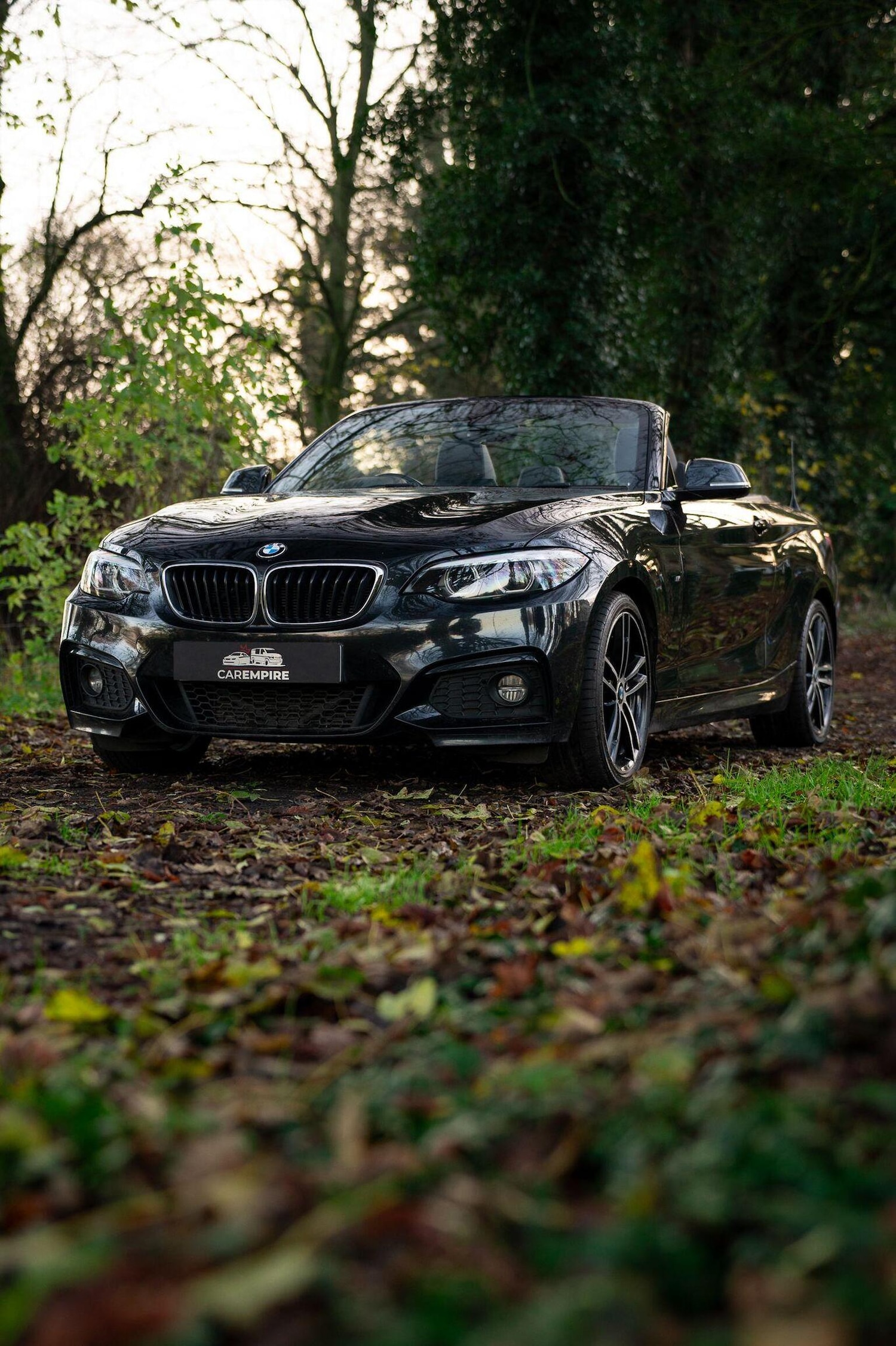 Used BMW 2 Series 2019 for sale - 77027871: Photo 11