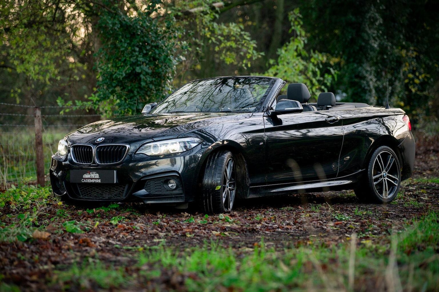 Used BMW 2 Series 2019 for sale - 77027871: Photo 12