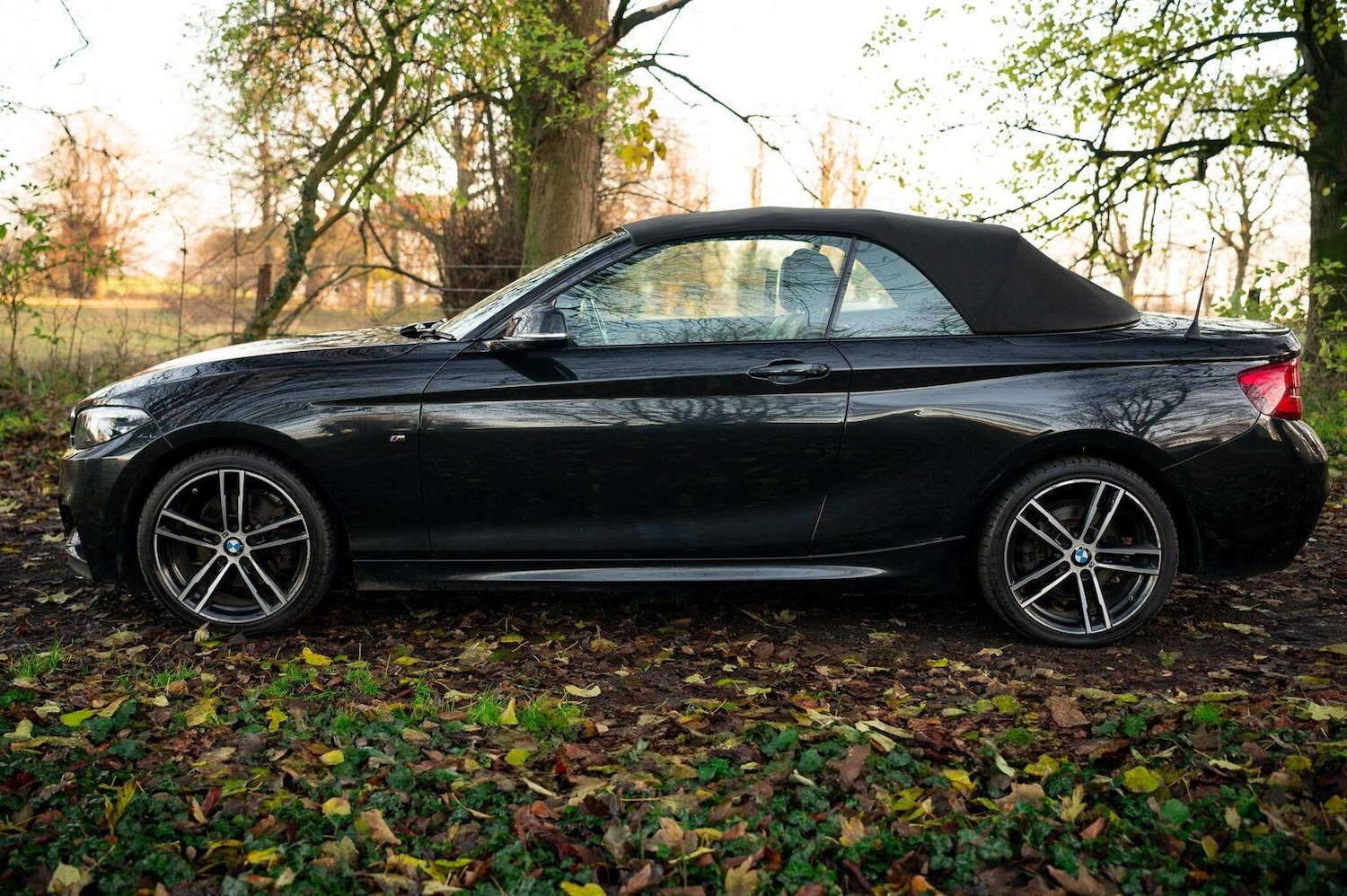 Used BMW 2 Series 2019 for sale - 77027871: Photo 13