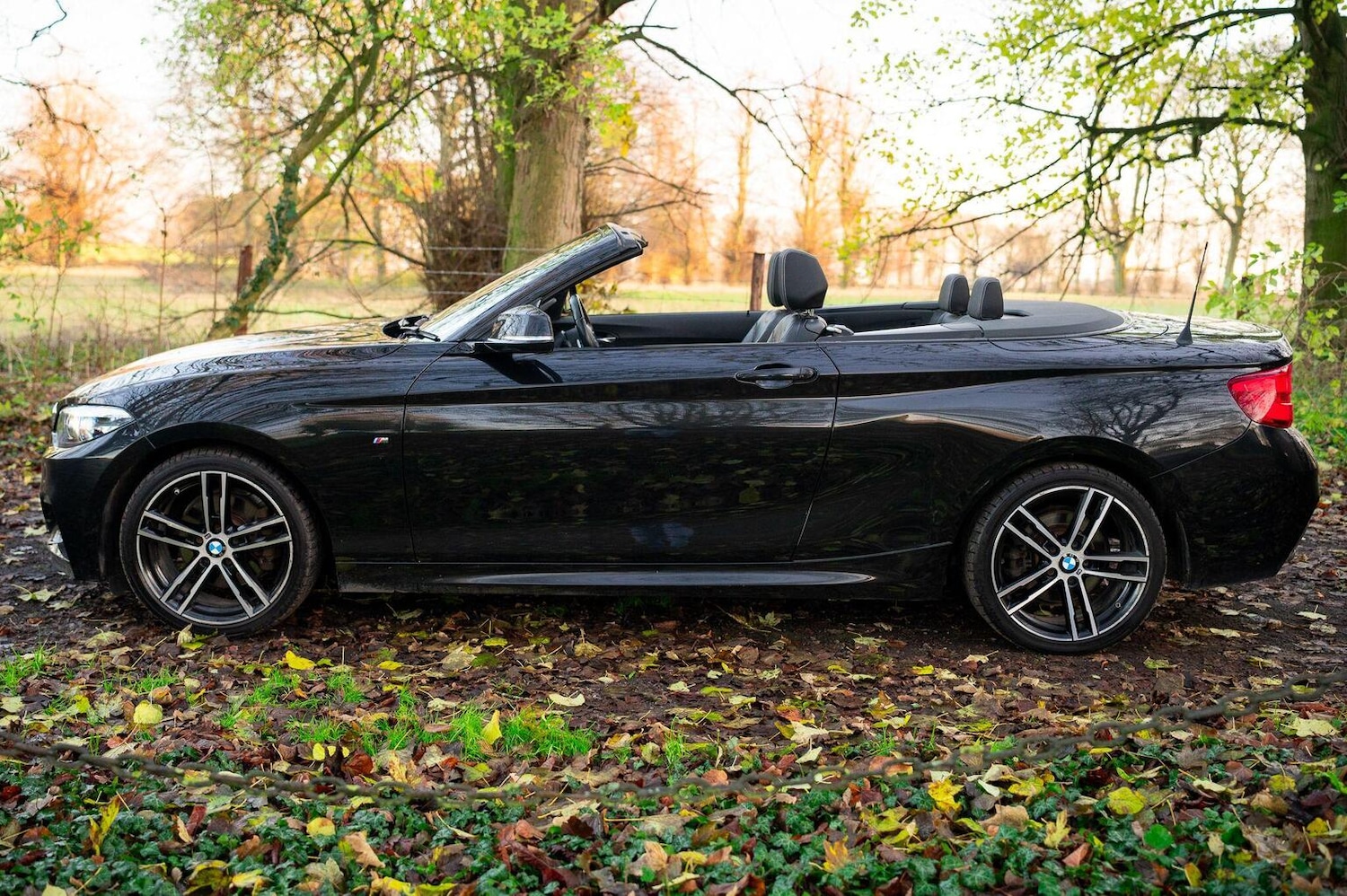 Used BMW 2 Series 2019 for sale - 77027871: Photo 14