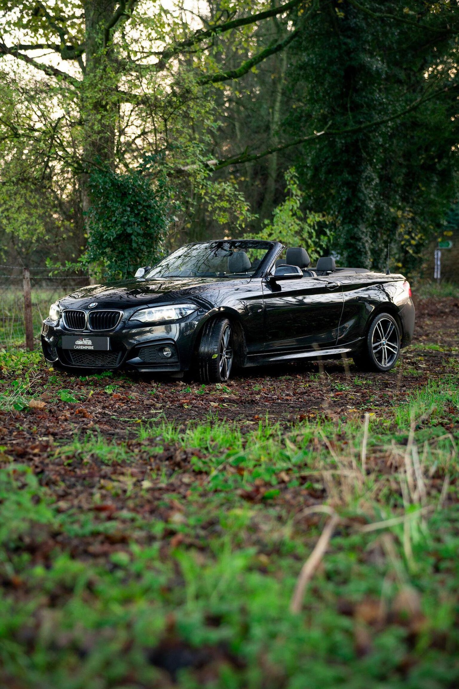 Used BMW 2 Series 2019 for sale - 77027871: Photo 15