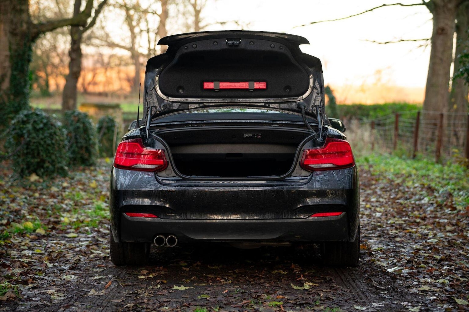 Used BMW 2 Series 2019 for sale - 77027871: Photo 18