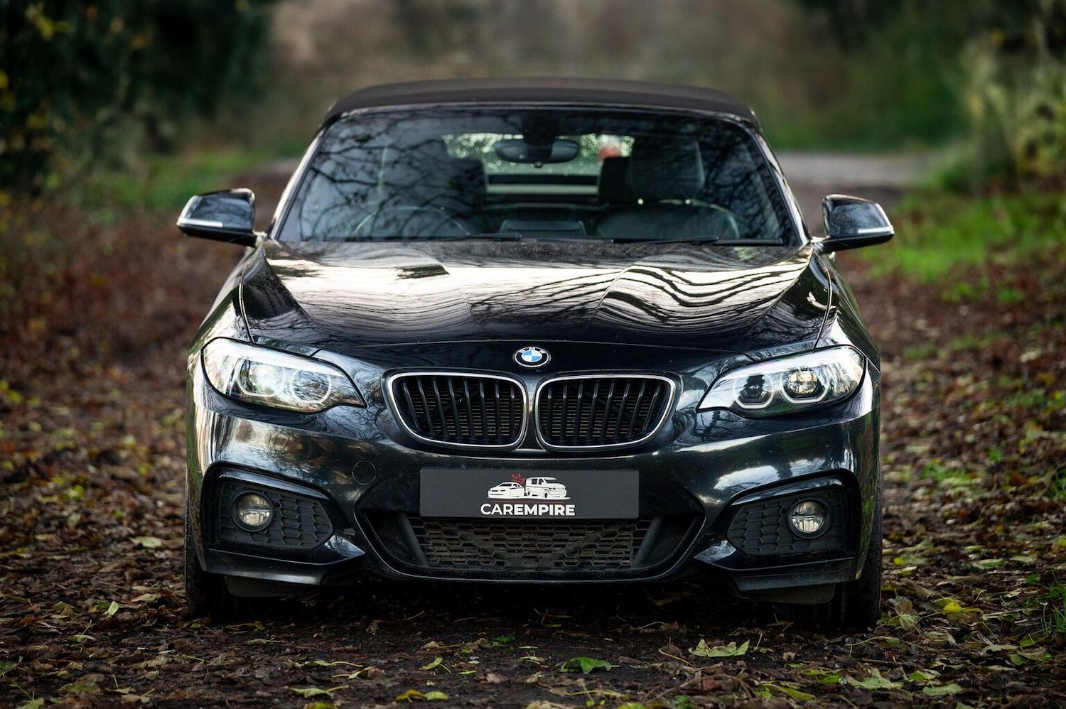 Used BMW 2 Series 2019 for sale - 77027871: Photo 2