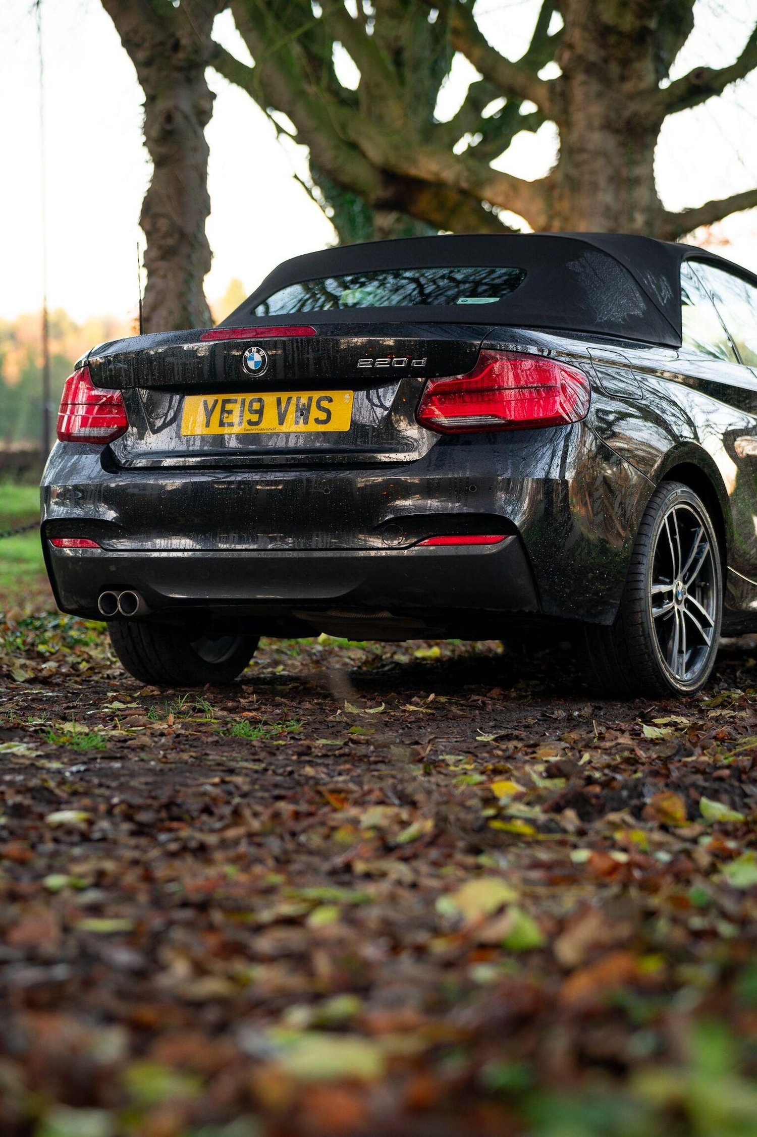 Used BMW 2 Series 2019 for sale - 77027871: Photo 21