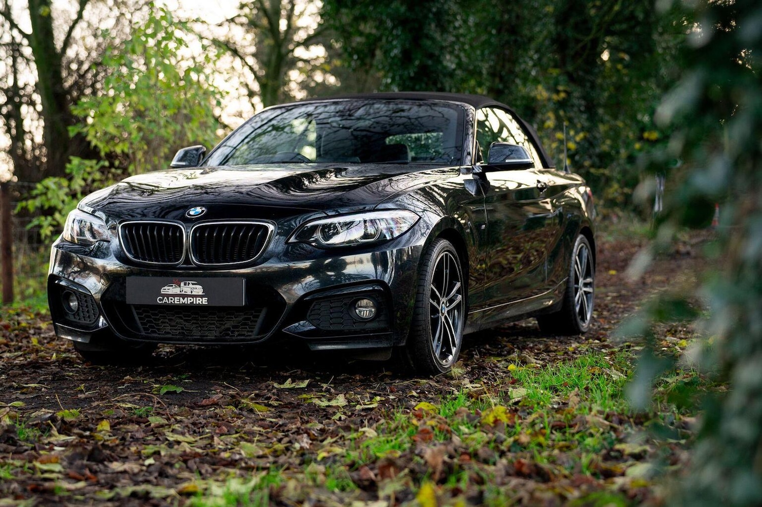 Used BMW 2 Series 2019 for sale - 77027871: Photo 3