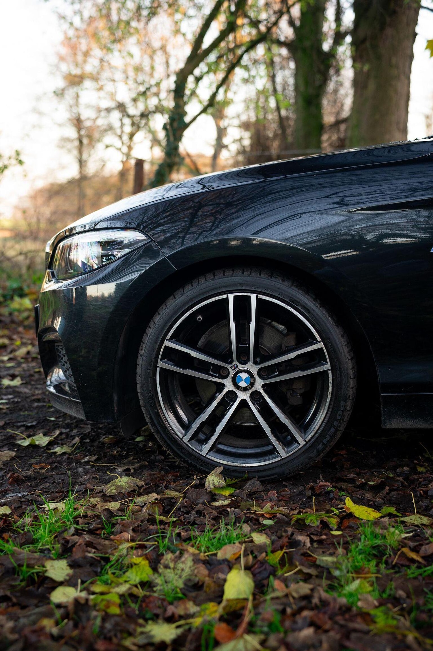 Used BMW 2 Series 2019 for sale - 77027871: Photo 36