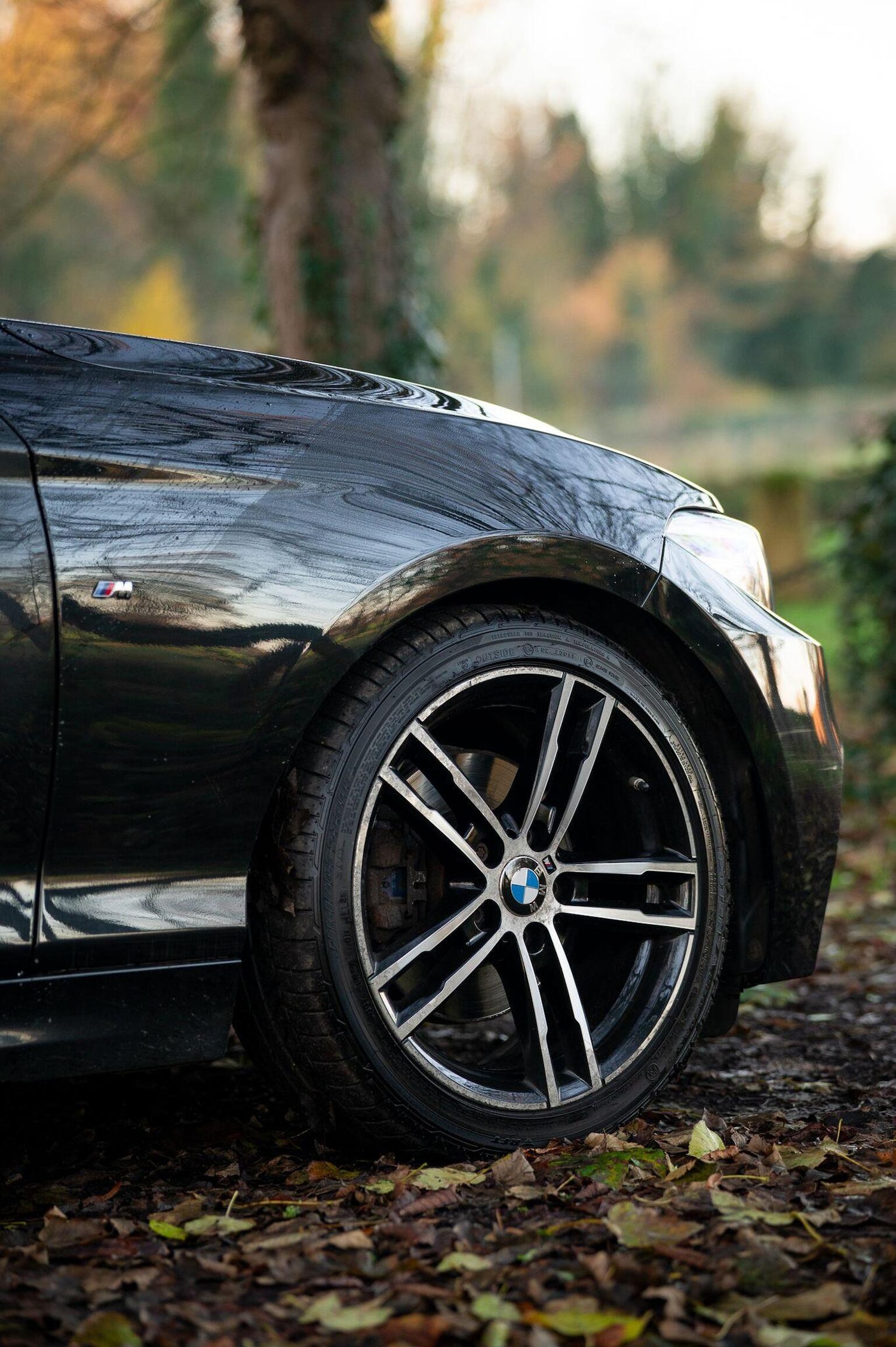 Used BMW 2 Series 2019 for sale - 77027871: Photo 40