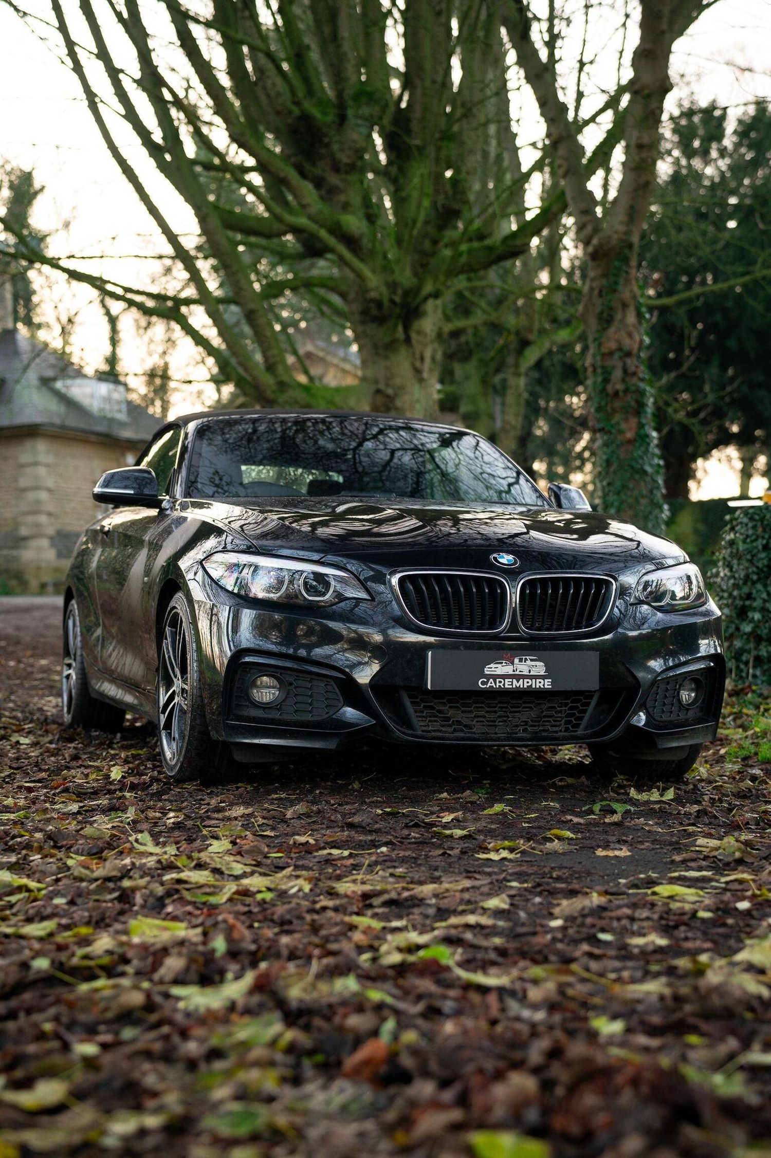 Used BMW 2 Series 2019 for sale - 77027871: Photo 5