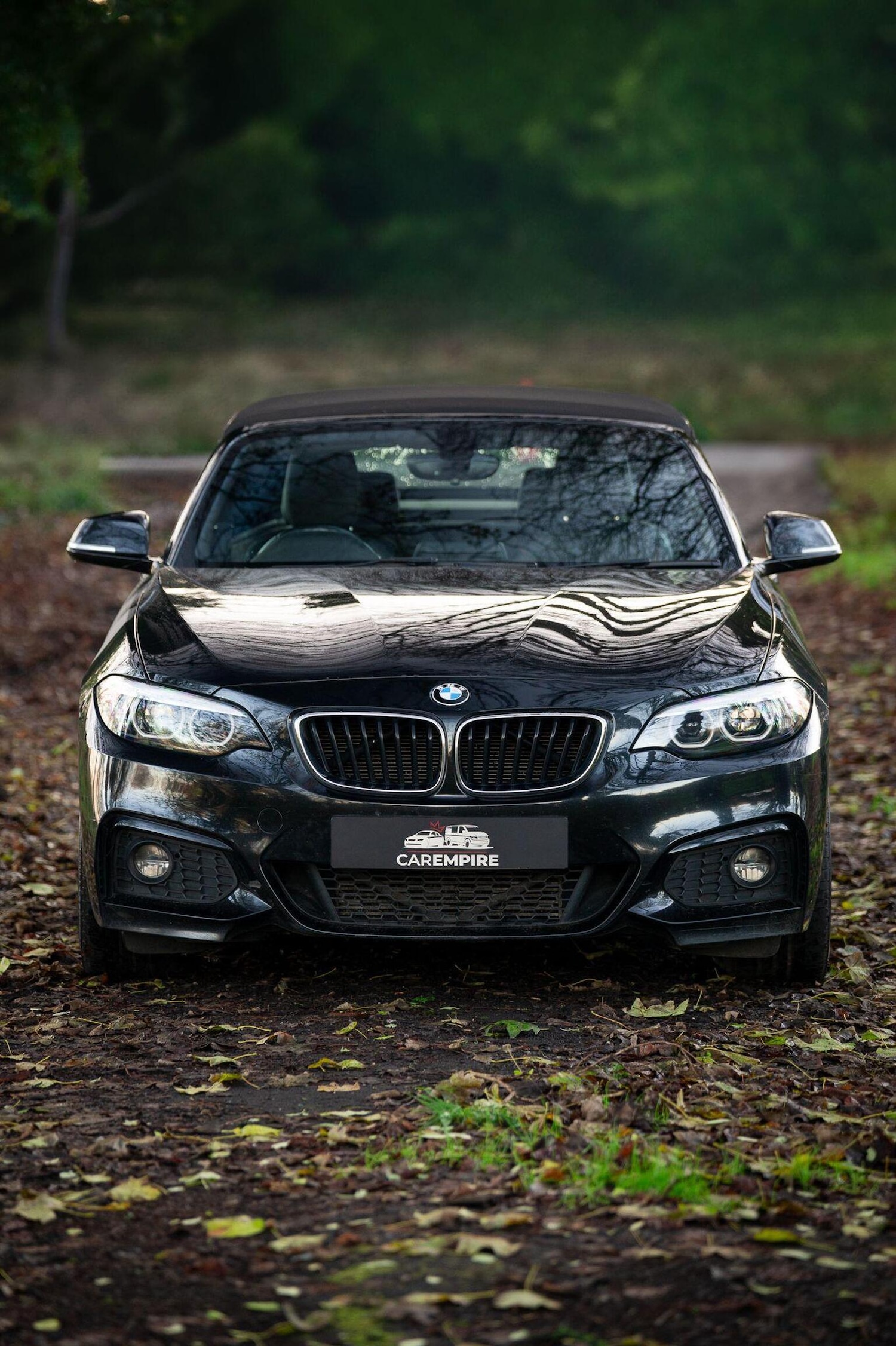 Used BMW 2 Series 2019 for sale - 77027871: Photo 7