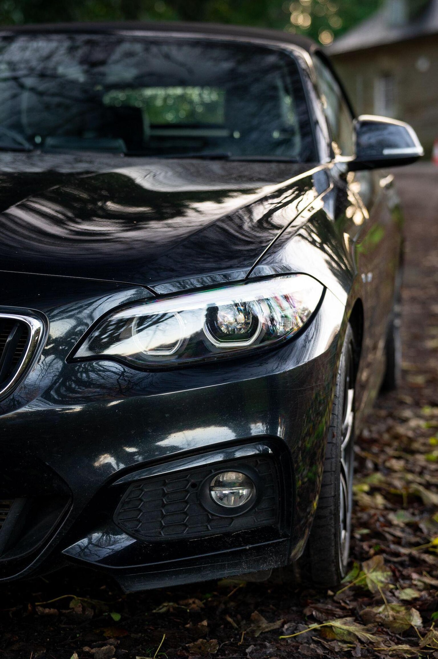 Used BMW 2 Series 2019 for sale - 77027871: Photo 8