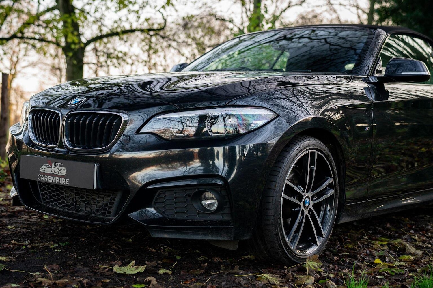 Used BMW 2 Series 2019 for sale - 77027871: Photo 9