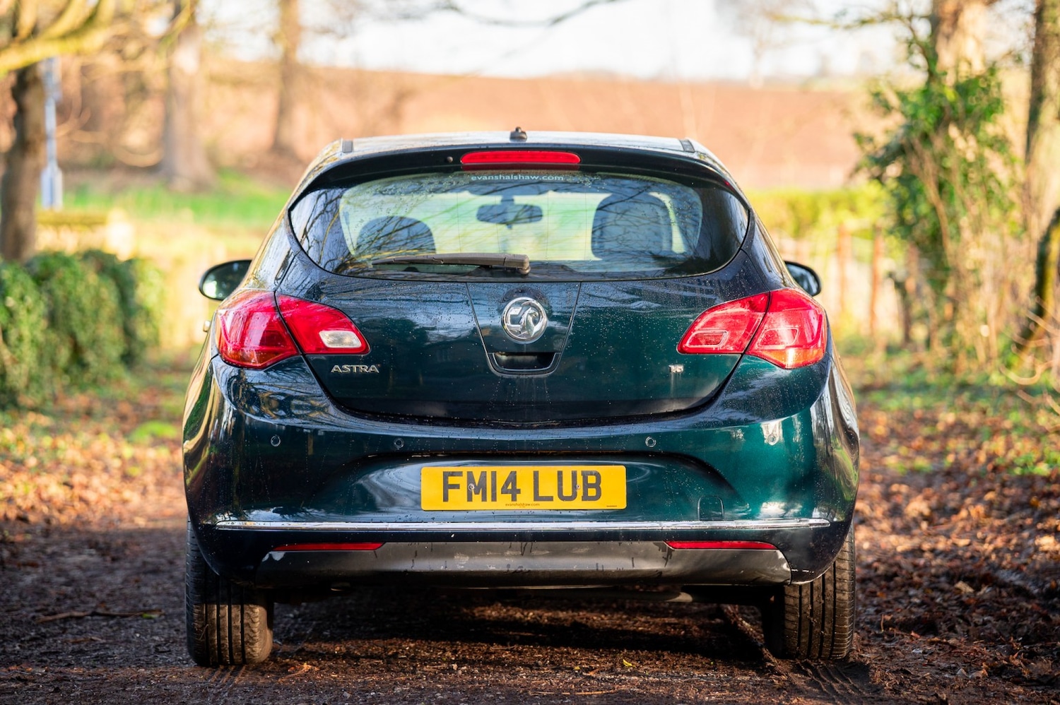 Used Vauxhall Astra 2014 for sale - 77038877: Photo 2