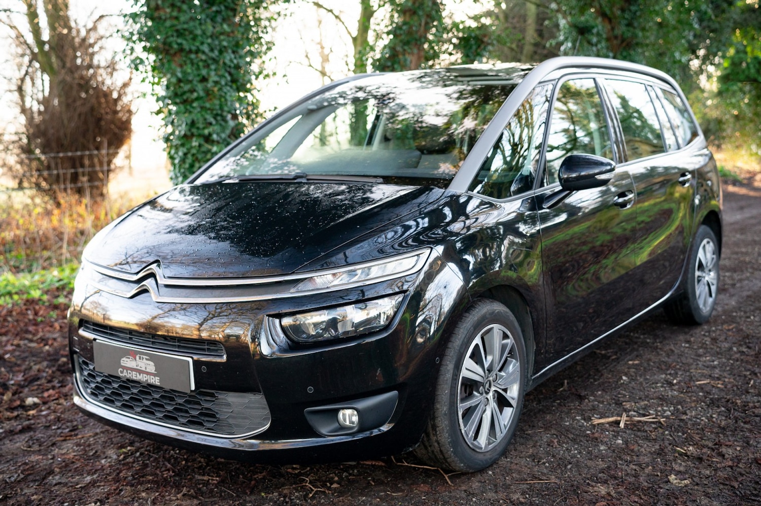 Used Citroen Grand C4 Picasso 2015 for sale - 77976998: Photo 7